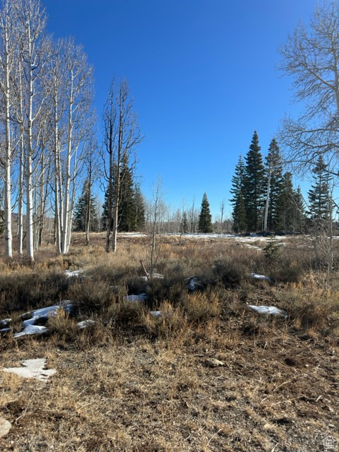 Prime lot located in the picturesque Private Community of the Whispering Pines Subdivision. This lot is located in a Culdsac Nestled in between the Shimmering Aspen trees and Whispering Pine Trees. Close to Kolob Reservoir and Zion National Park, Hiking, Mountain Biking and Horse Back Riding are just a few of the activities you'll enjoy within the tranquil & serene surroundings. Paved roads give easy access during the Summer months, accessible by snowmobile during the Winter months as roads are not plowed. Phone & Fiber Optic Internet available, water available. All information deemed reliable buyer and buyers agent to verify all information.