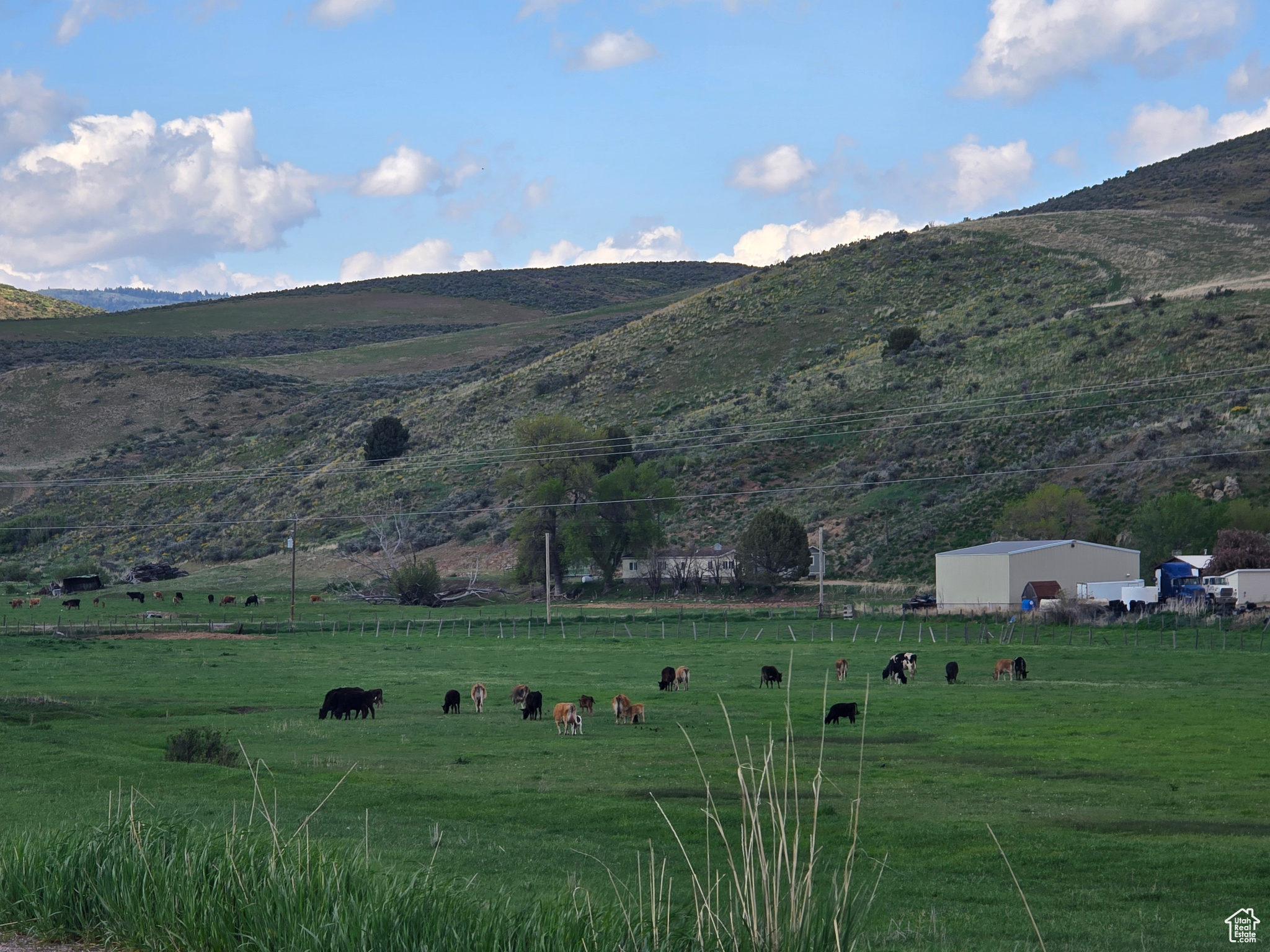 1608 E 9000, Preston, Idaho image 3