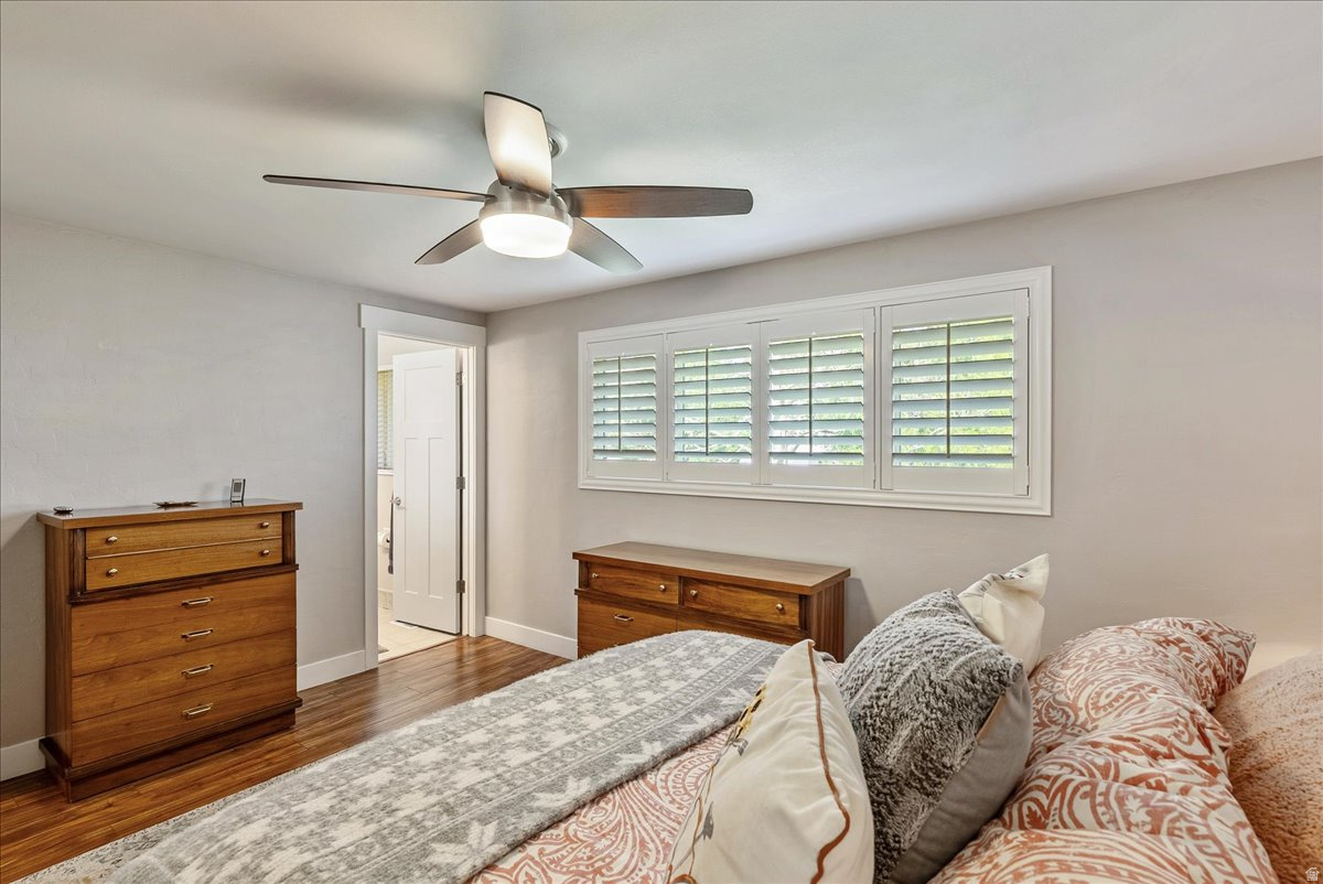 HOMESTEAD COURT - Residential