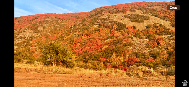 ROCK LOFT RIDGE ESTATES - Land