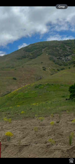 ROCK LOFT RIDGE ESTATES - Land