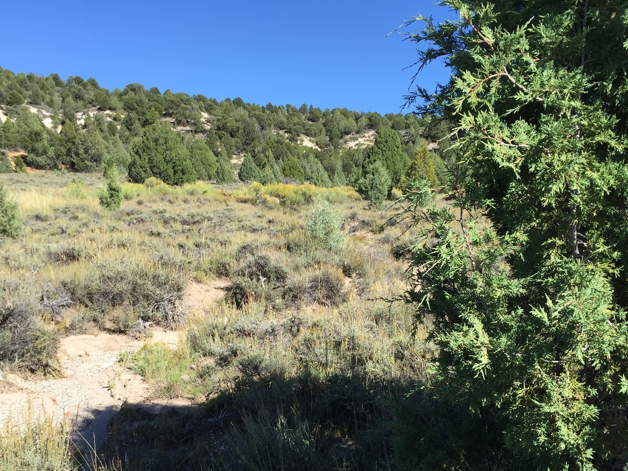 LONG VALLEY ESTATES - Land