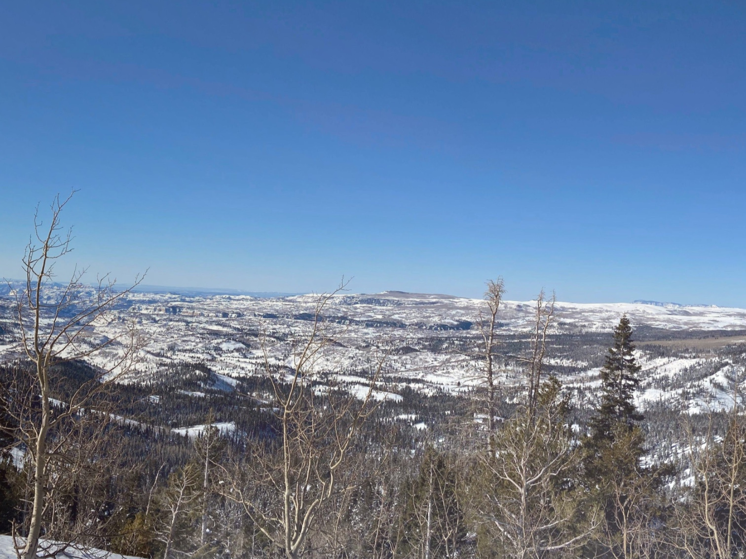 LONG VALLEY ESTATES - Land