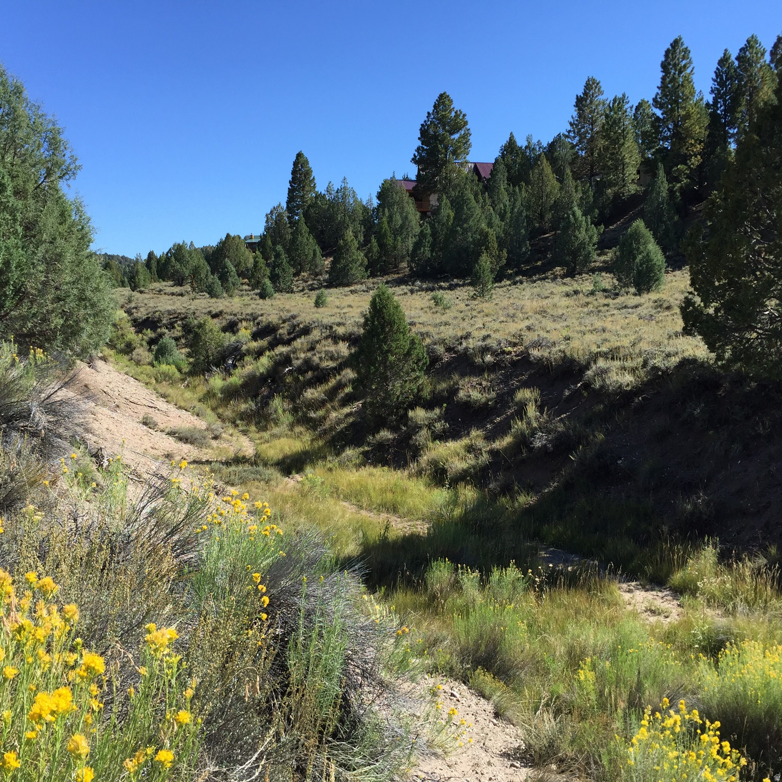 LONG VALLEY ESTATES - Land