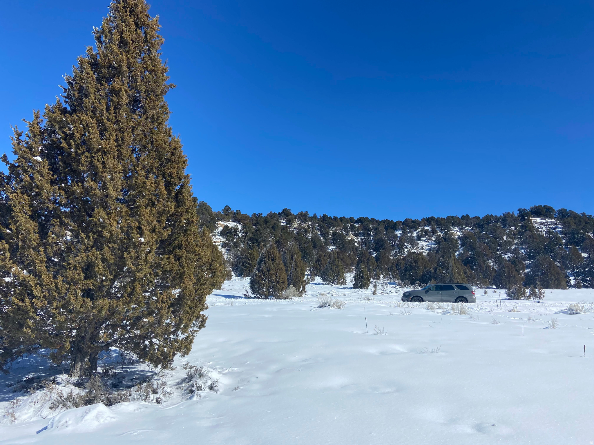 LONG VALLEY ESTATES - Land