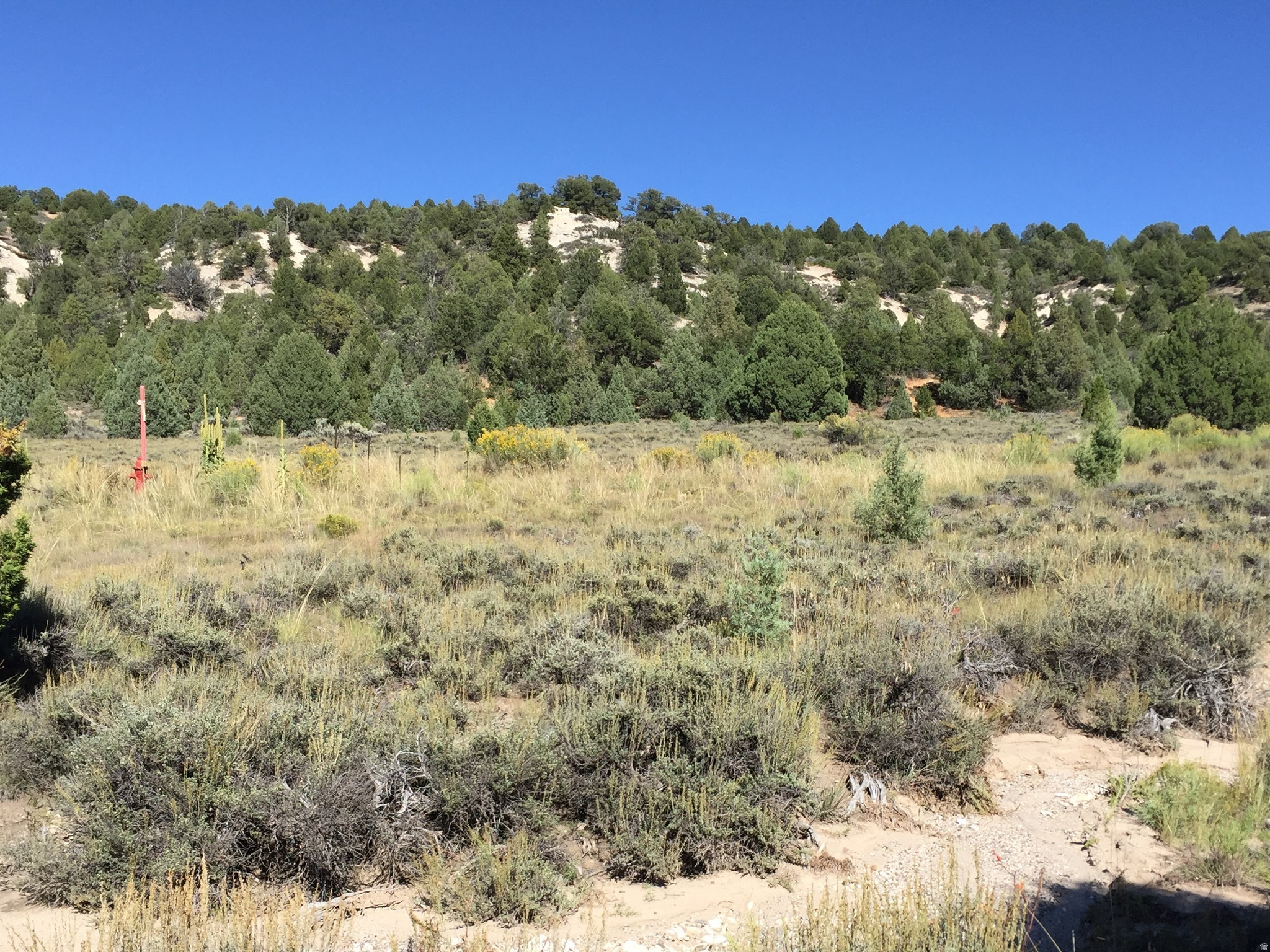 LONG VALLEY ESTATES - Land