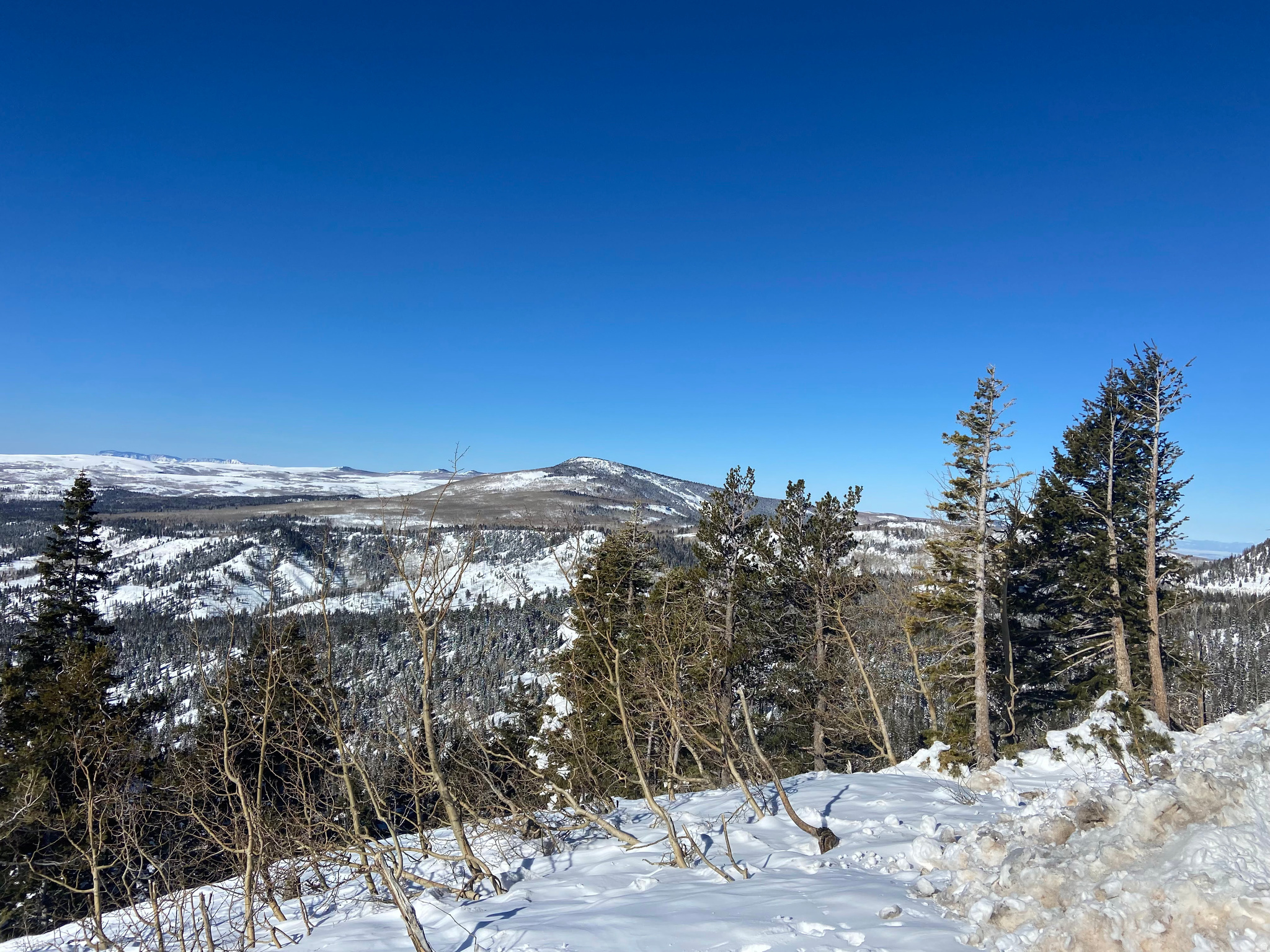 LONG VALLEY ESTATES - Land