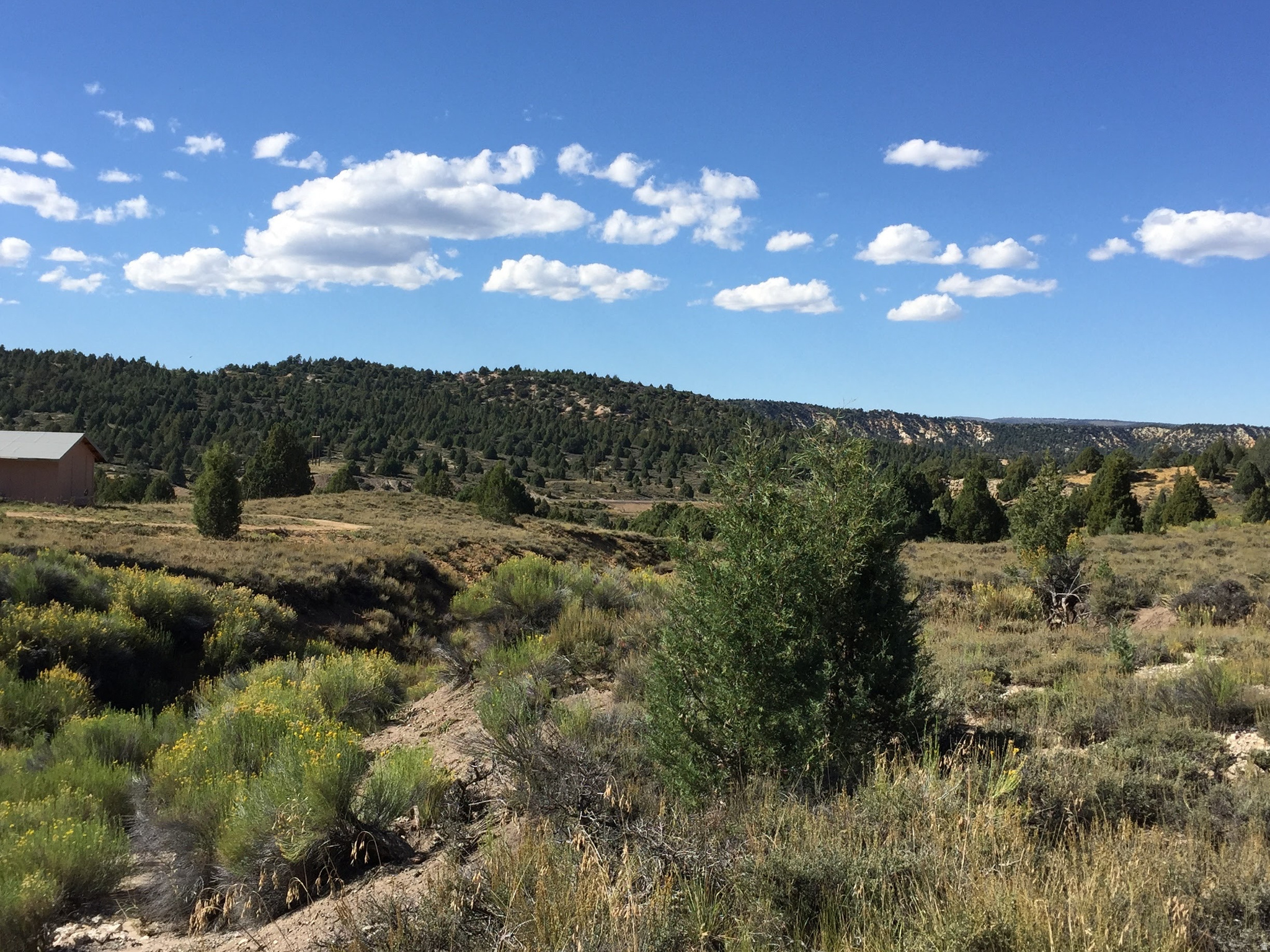 LONG VALLEY ESTATES - Land