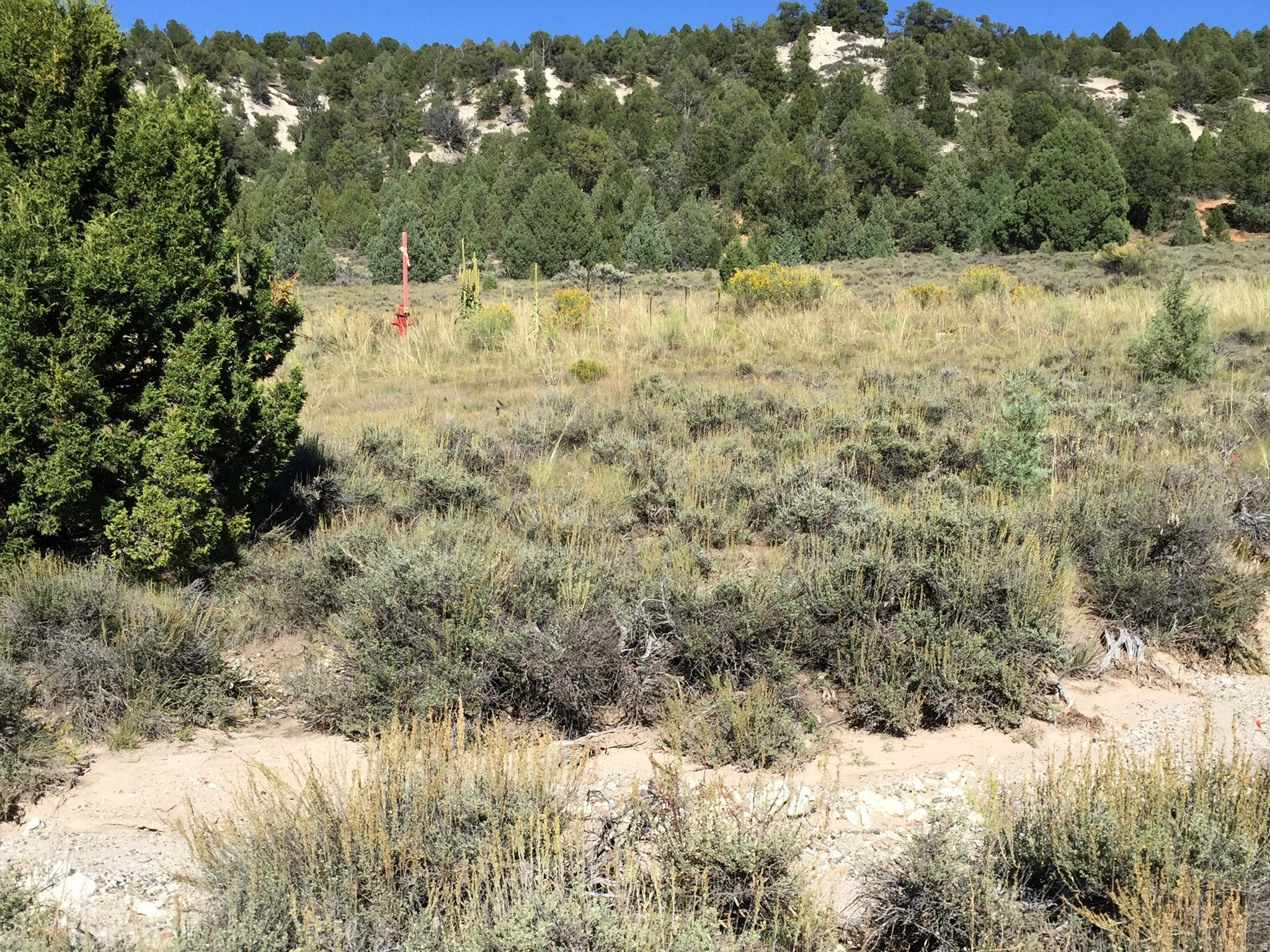 LONG VALLEY ESTATES - Land