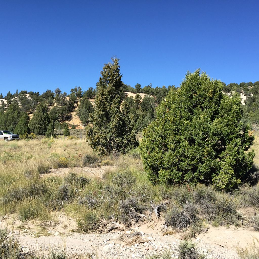 Photo of #B2, Alton, UT 84710 (MLS # 2127485)