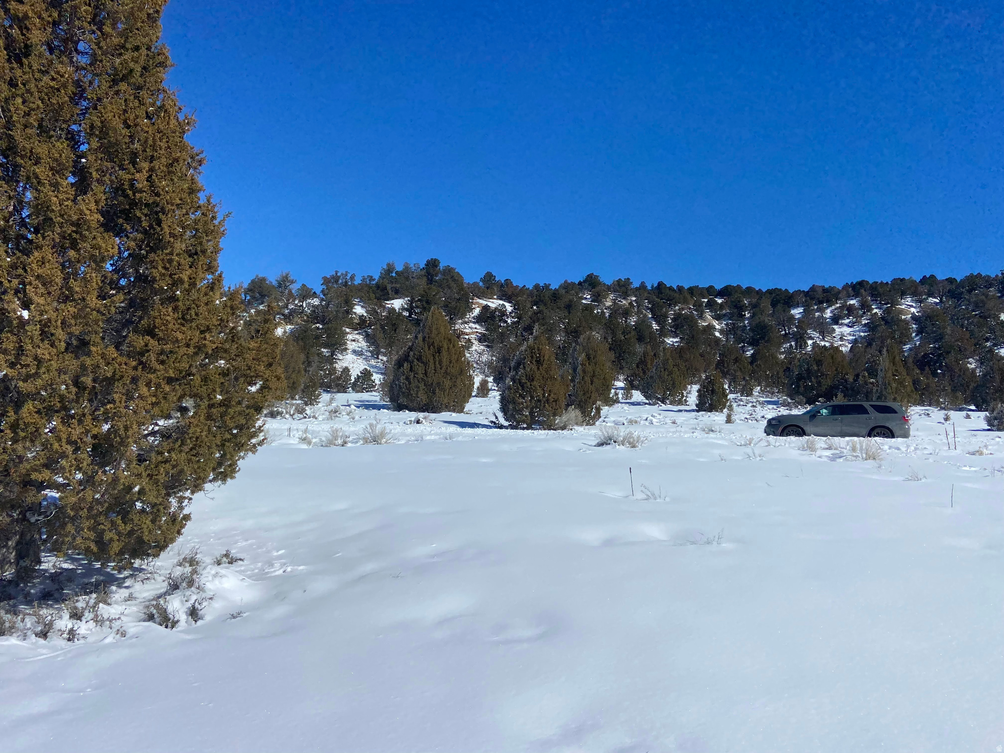 LONG VALLEY ESTATES - Land