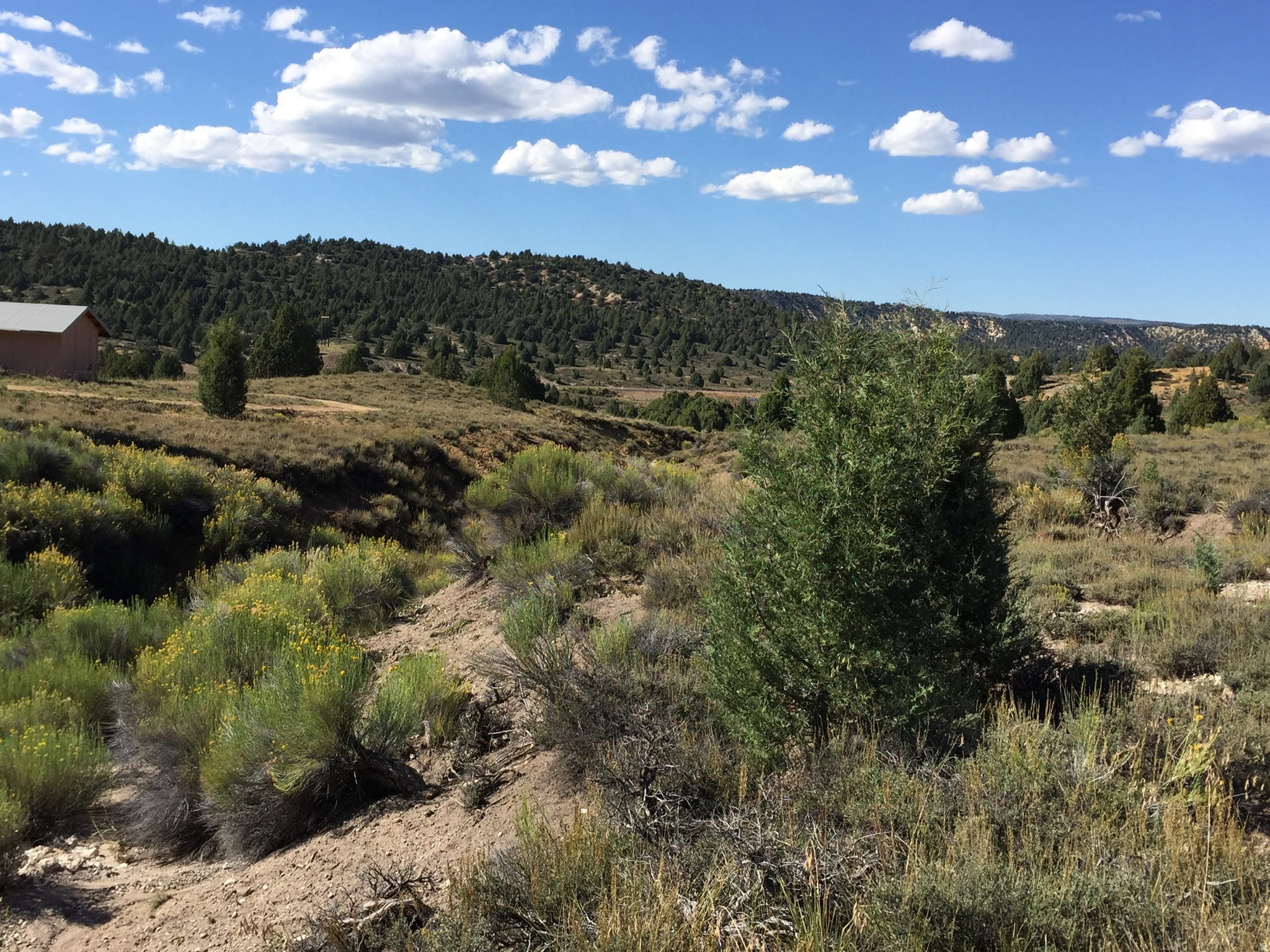 LONG VALLEY ESTATES - Land