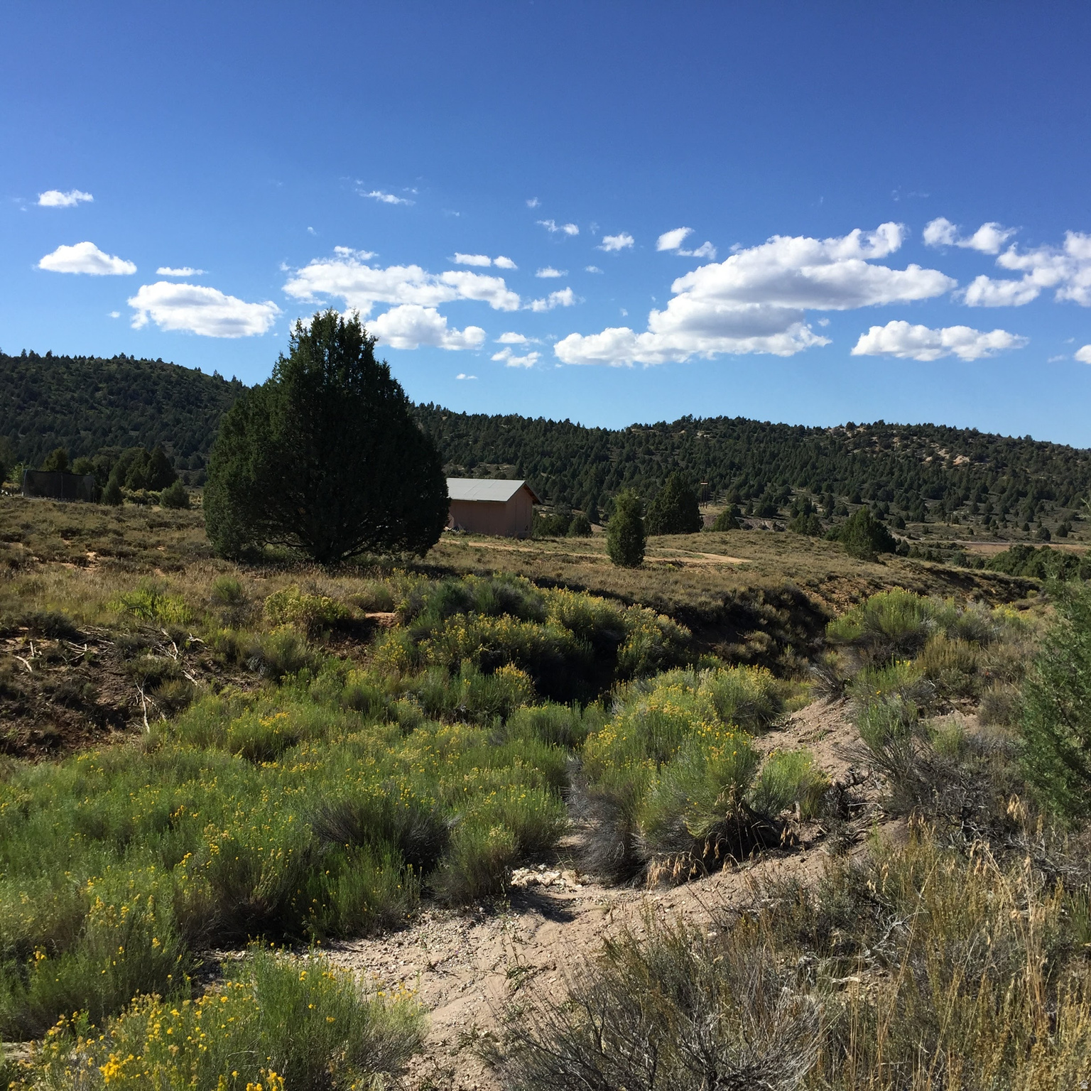 LONG VALLEY ESTATES - Land