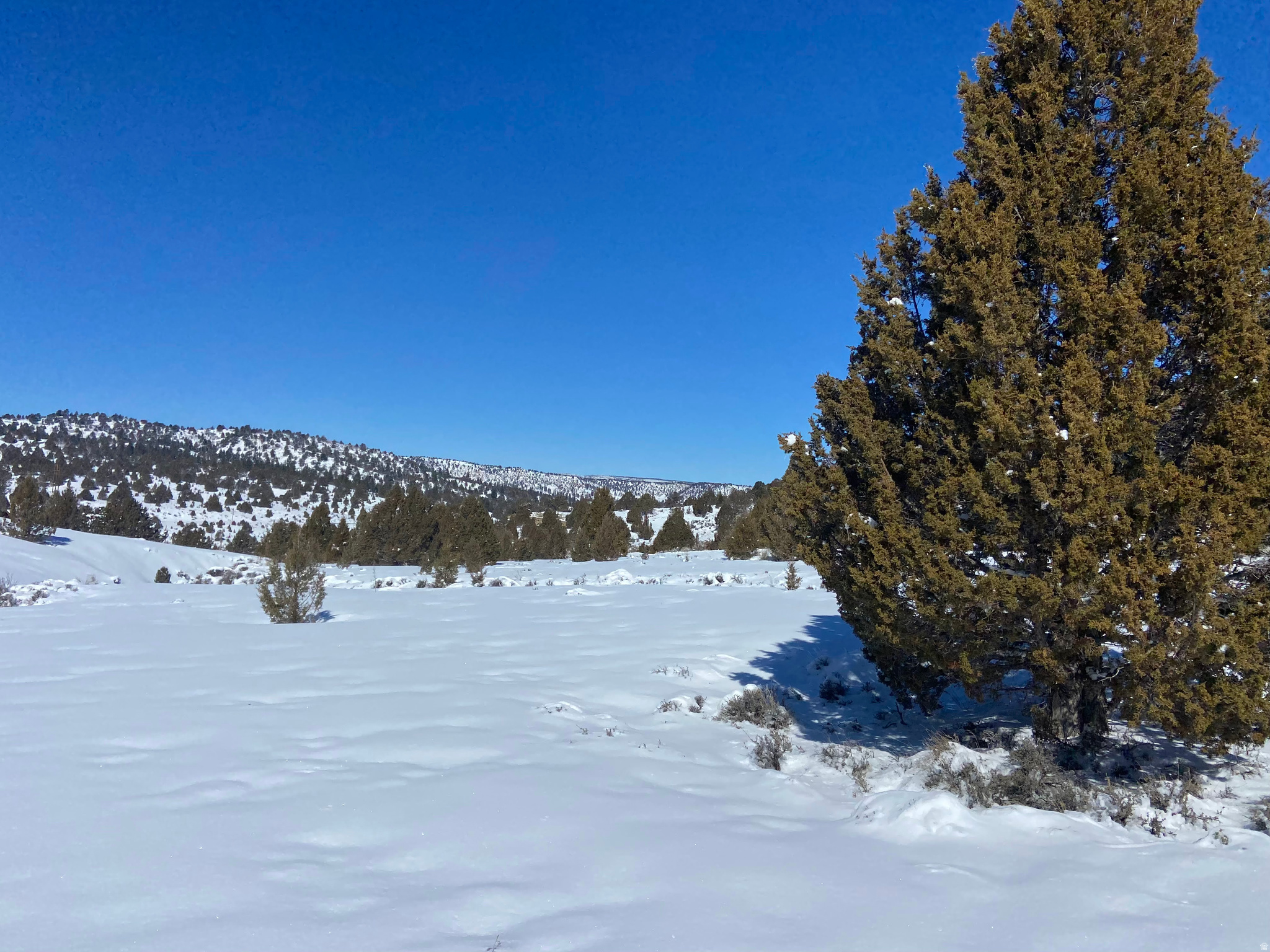 LONG VALLEY ESTATES - Land