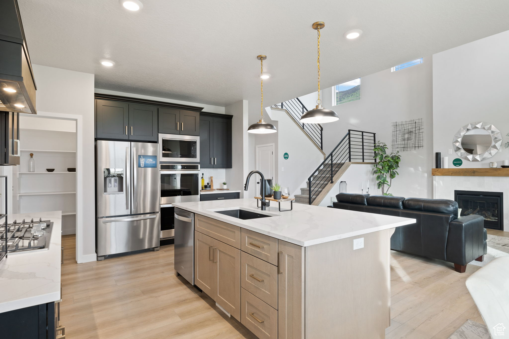 NORTH LAKE MEADOWS - Residential