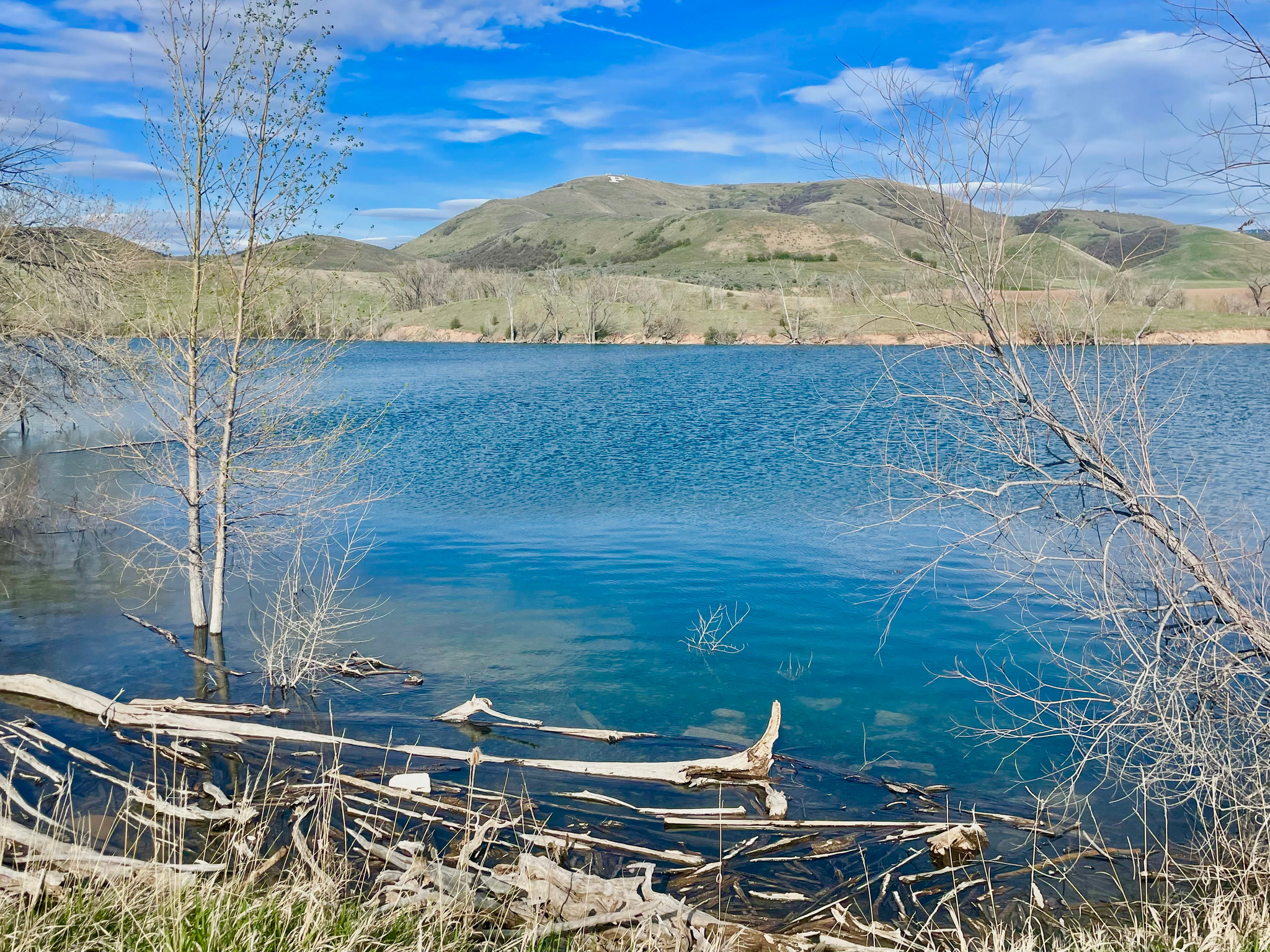 COTTONWOOD ESTATES SUBDIVISION - Land