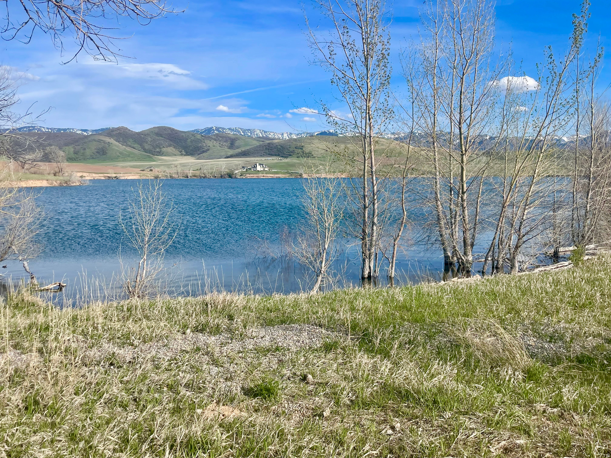 COTTONWOOD ESTATES SUBDIVISION - Land