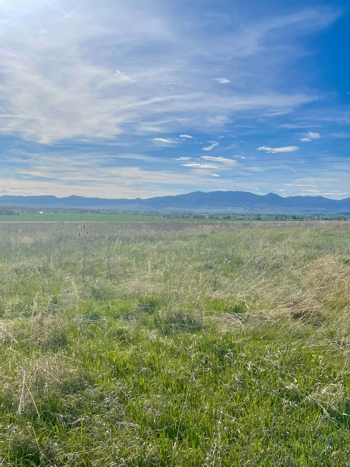 COTTONWOOD ESTATES SUBDIVISION - Land