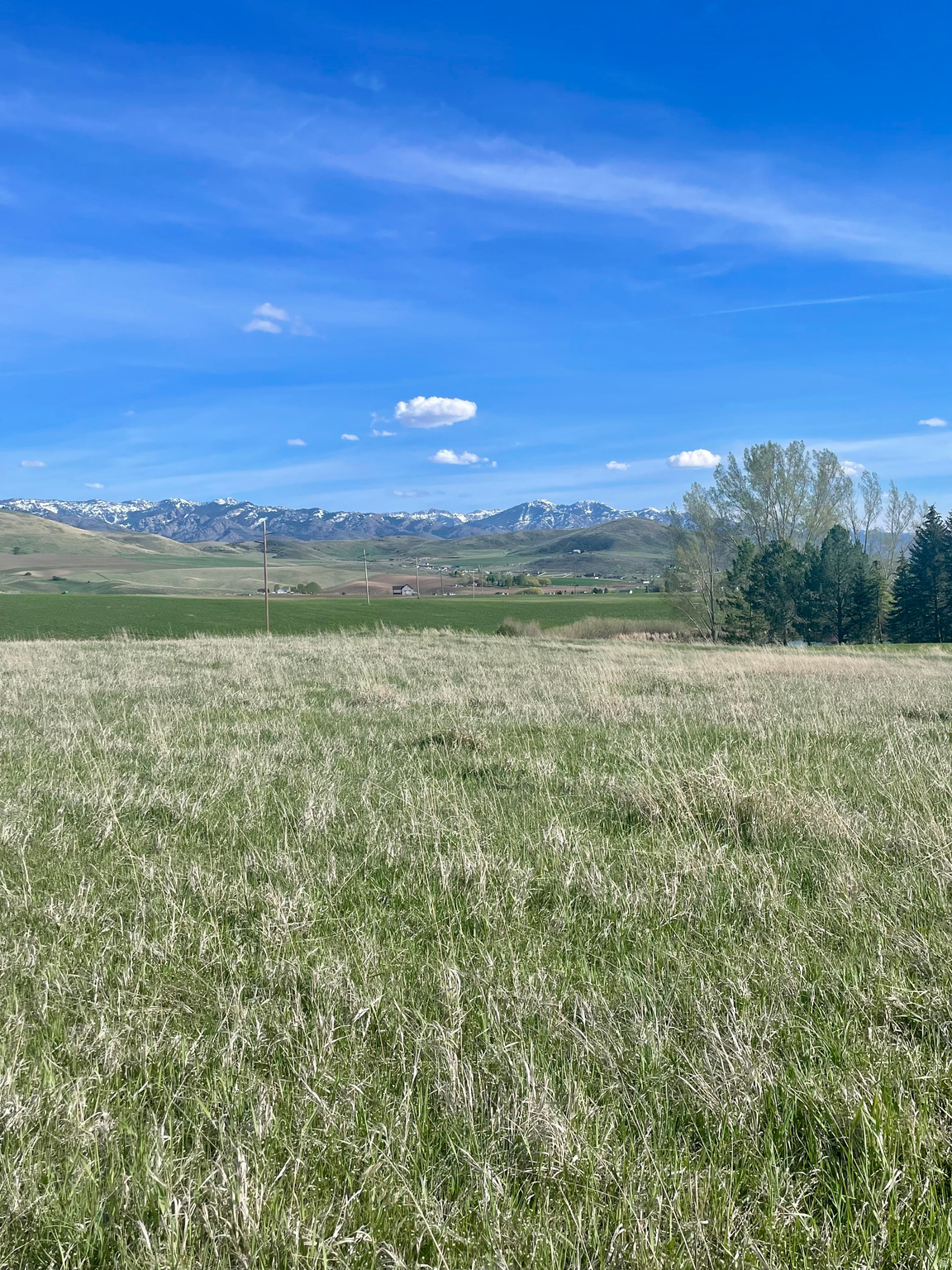 COTTONWOOD ESTATES SUBDIVISION - Land