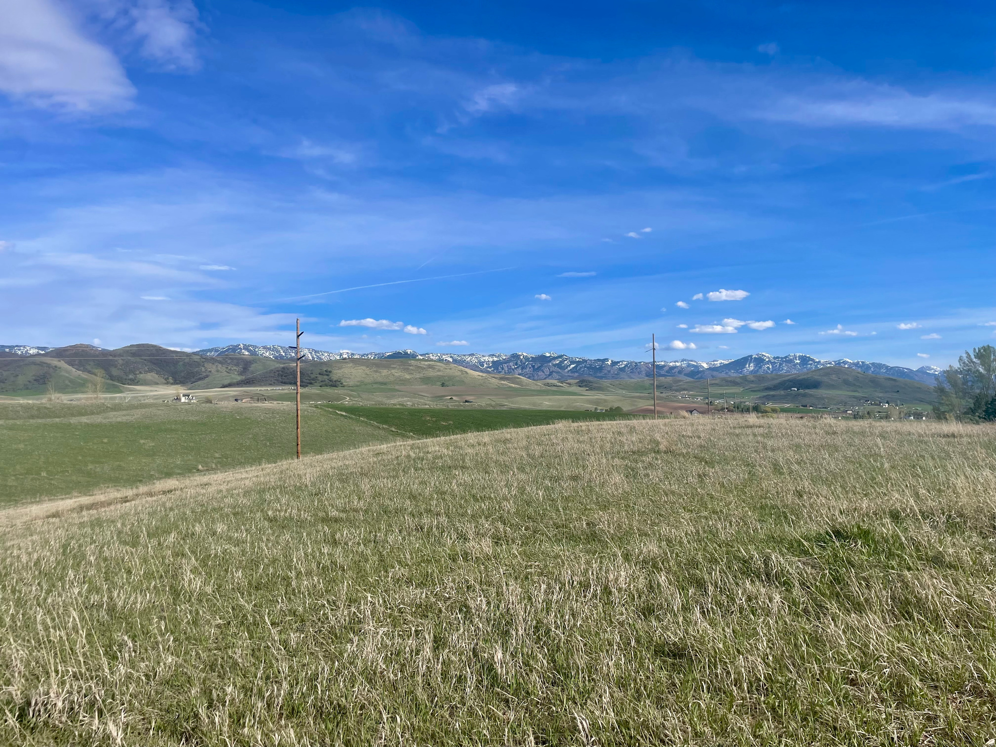 COTTONWOOD ESTATES SUBDIVISION - Land