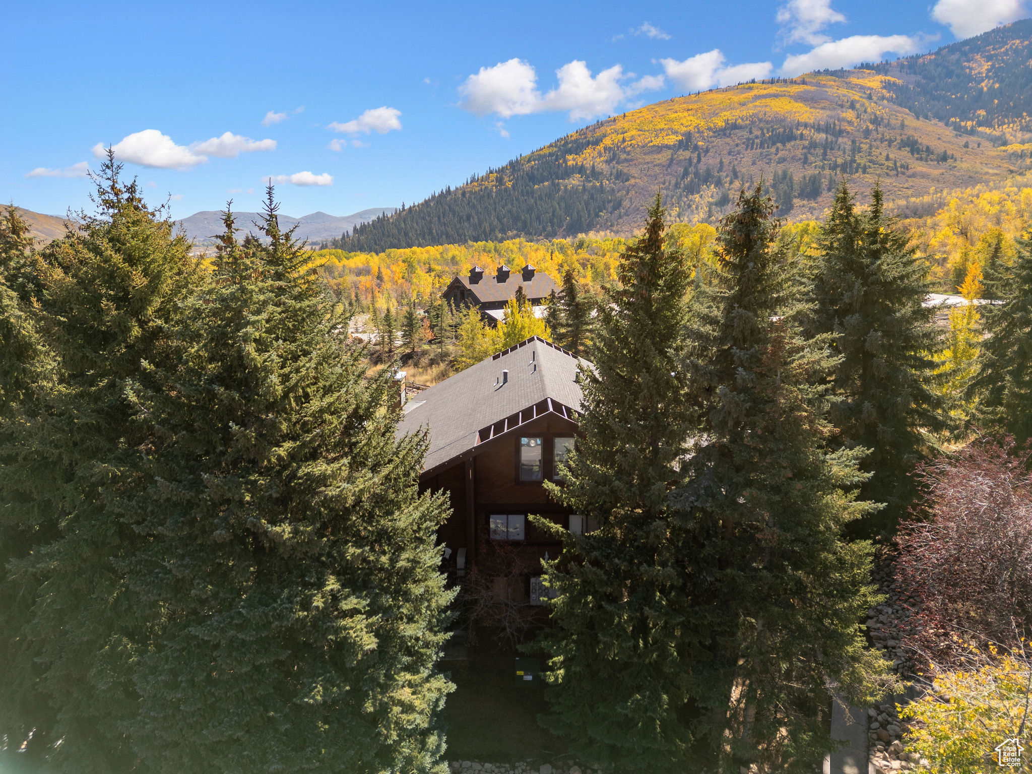 RED PINE - Residential