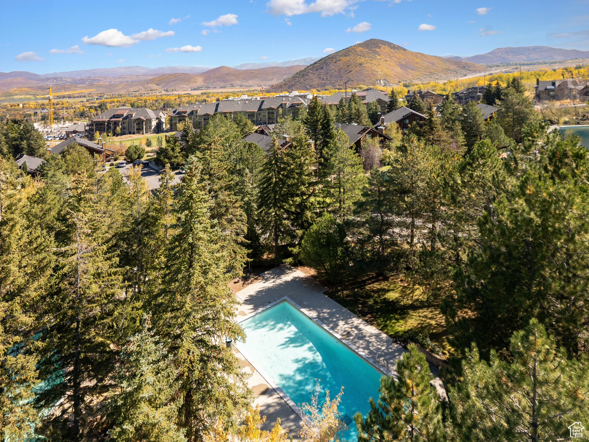 RED PINE - Residential