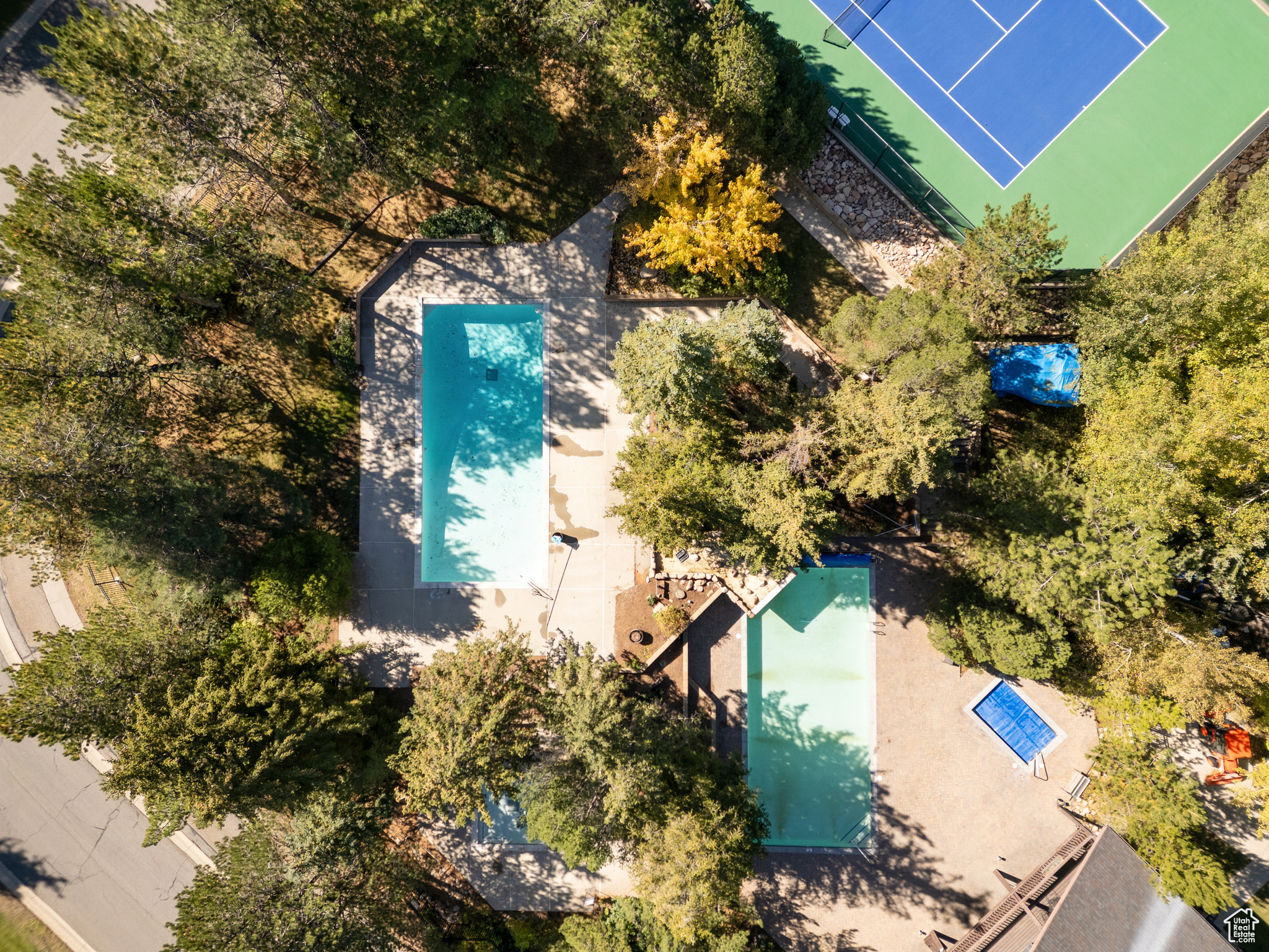 RED PINE - Residential