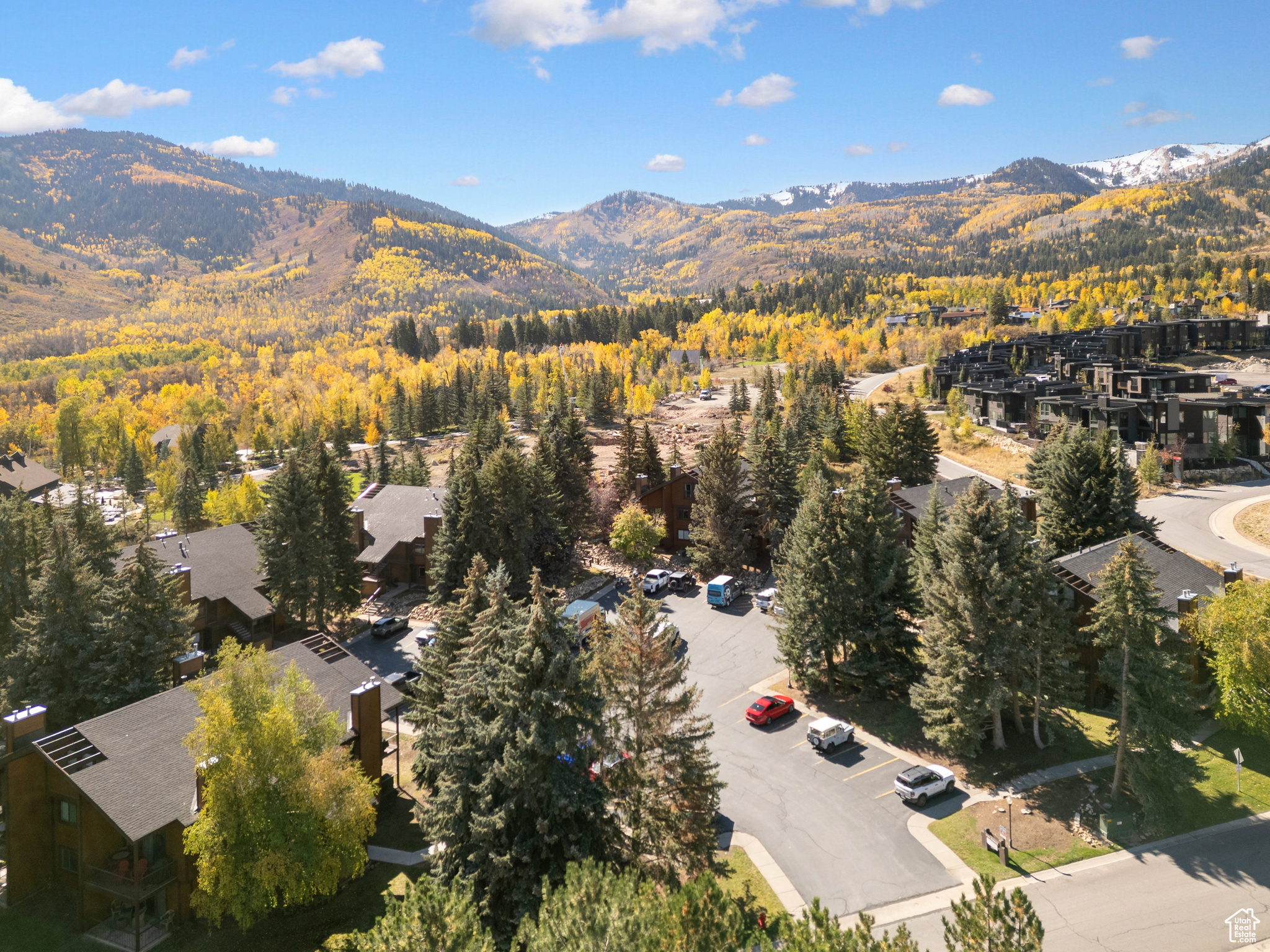 RED PINE - Residential