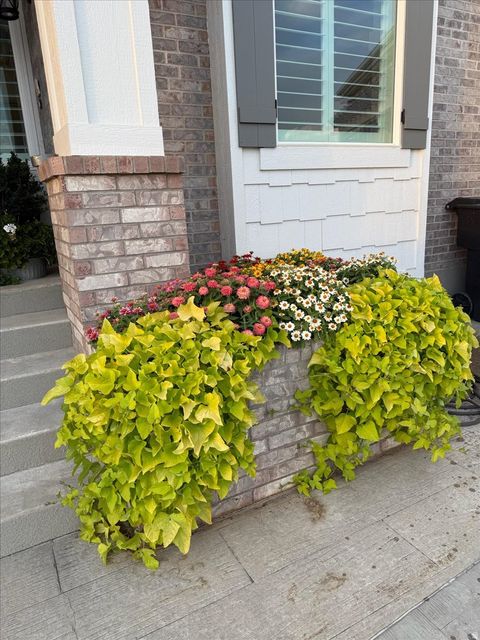 Tiny photo for 4496 COTTONWOOD DR, Pleasant View, UT 84414 (MLS # 2133909)