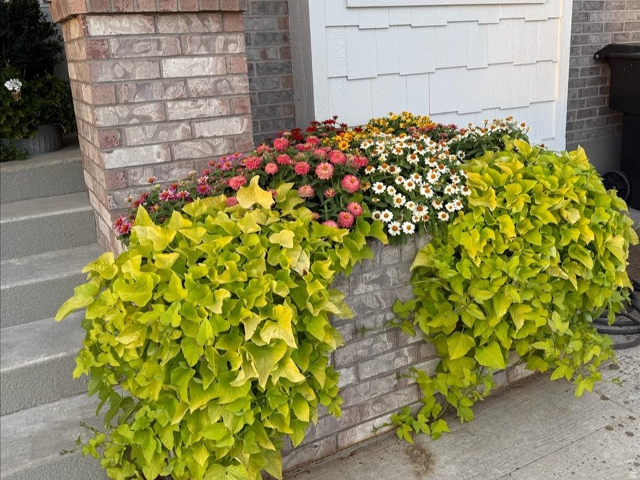 MAJESTIC HEIGHTS - Residential