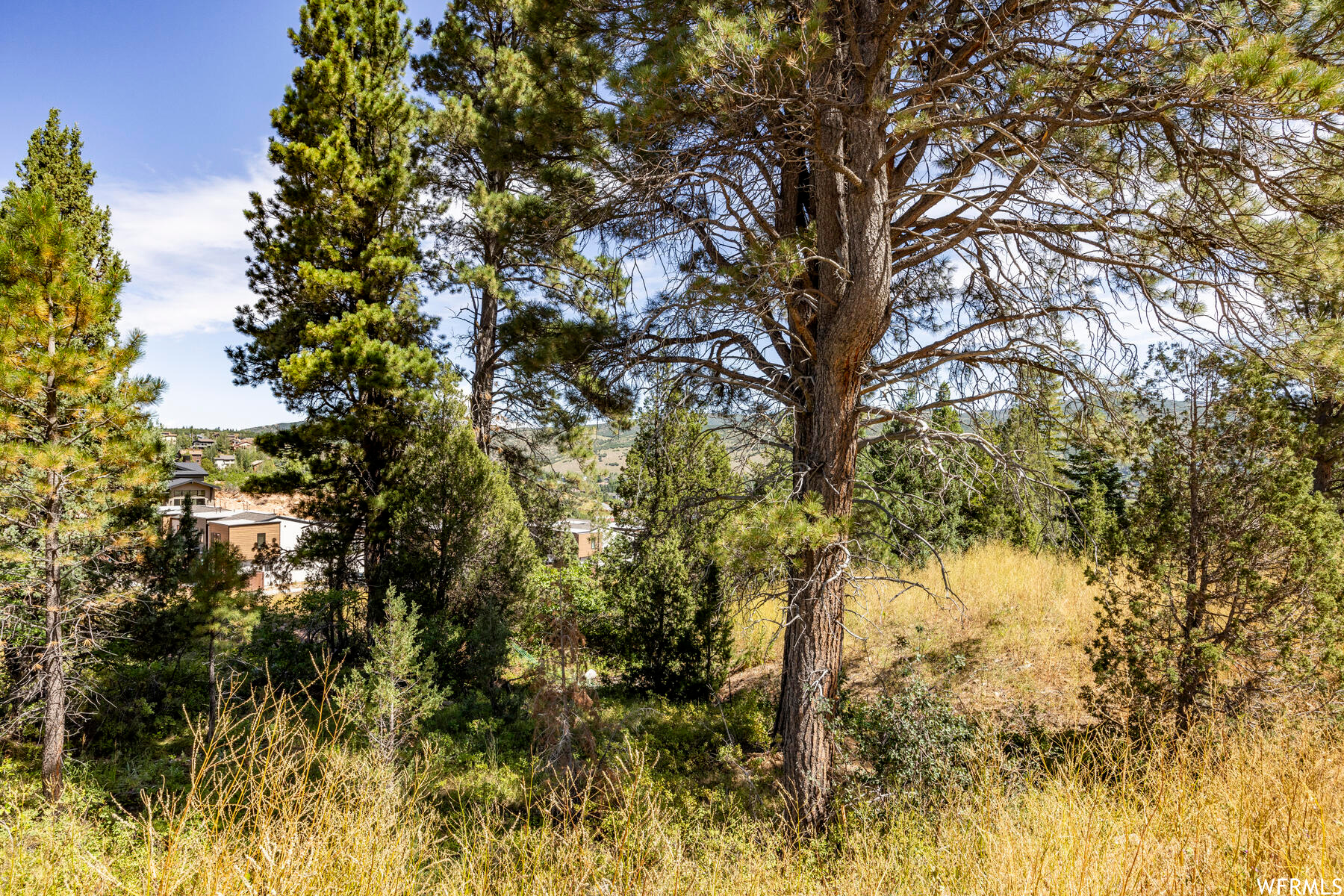 4060 W Crest Ct, Park City, Utah image 17