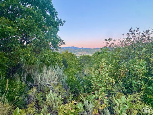 4343 UPPER ASPEN LOOP, KAMAS, UT 84036 - Image 69189a6075adc2fbbe3f78dfd84e0976/3767614367