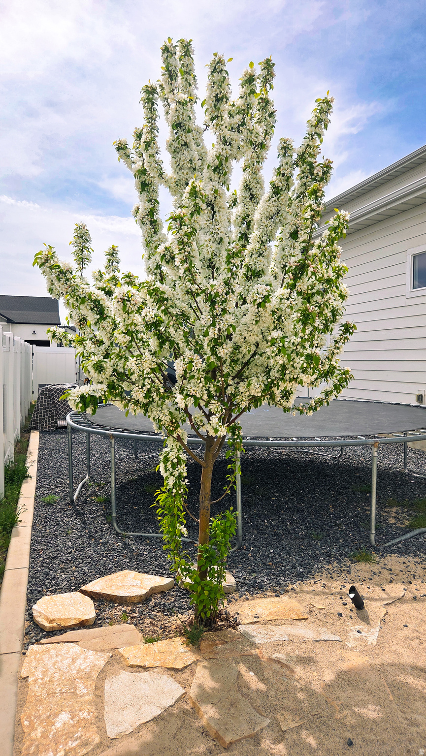 WILLOW FLATS - Residential