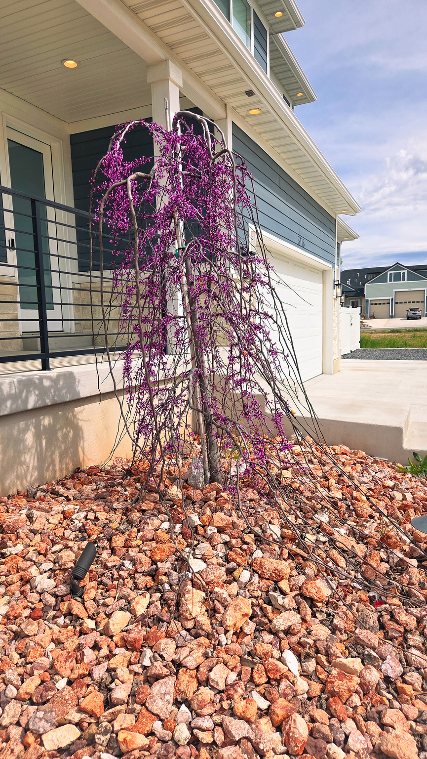 WILLOW FLATS - Residential