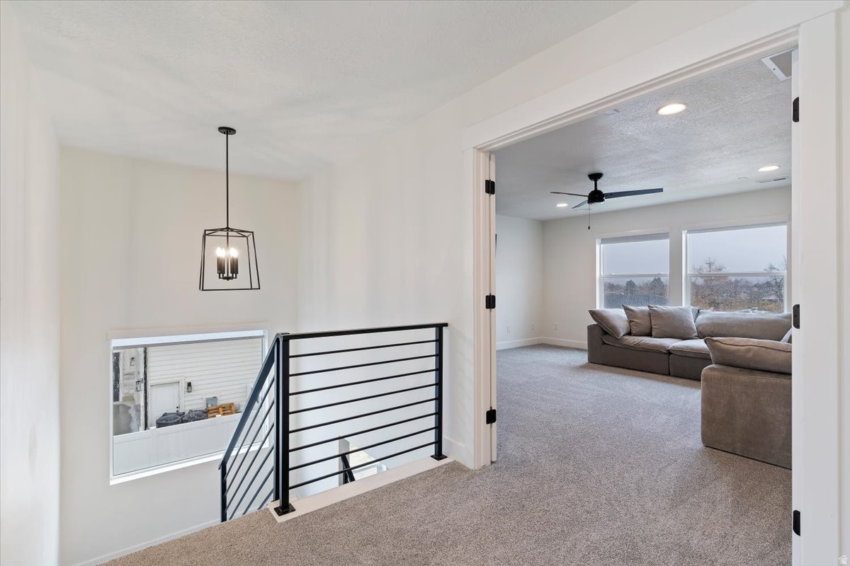 WILLOW FLATS - Residential