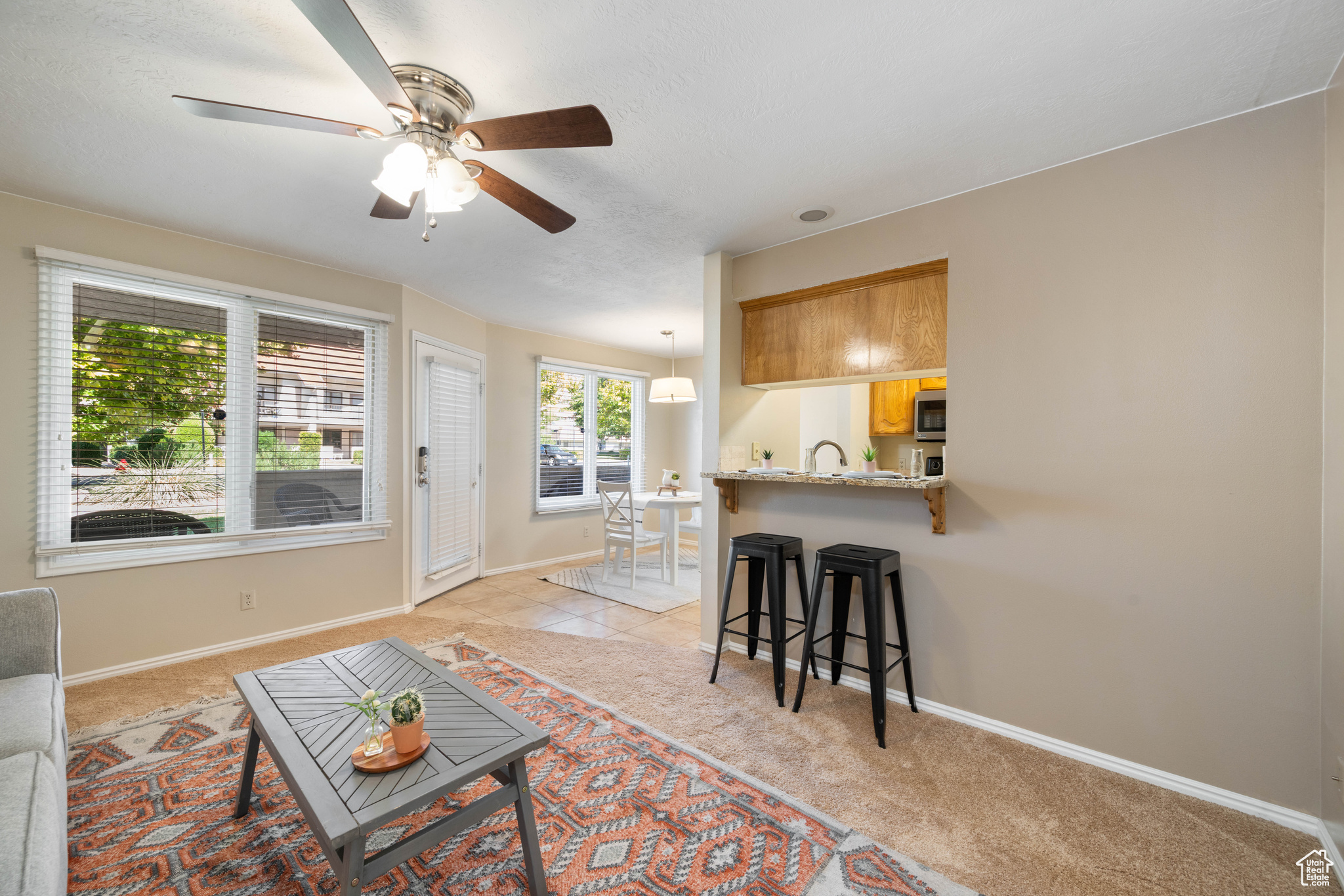 WILLOW RUN RESORT 1 CONDO - Residential