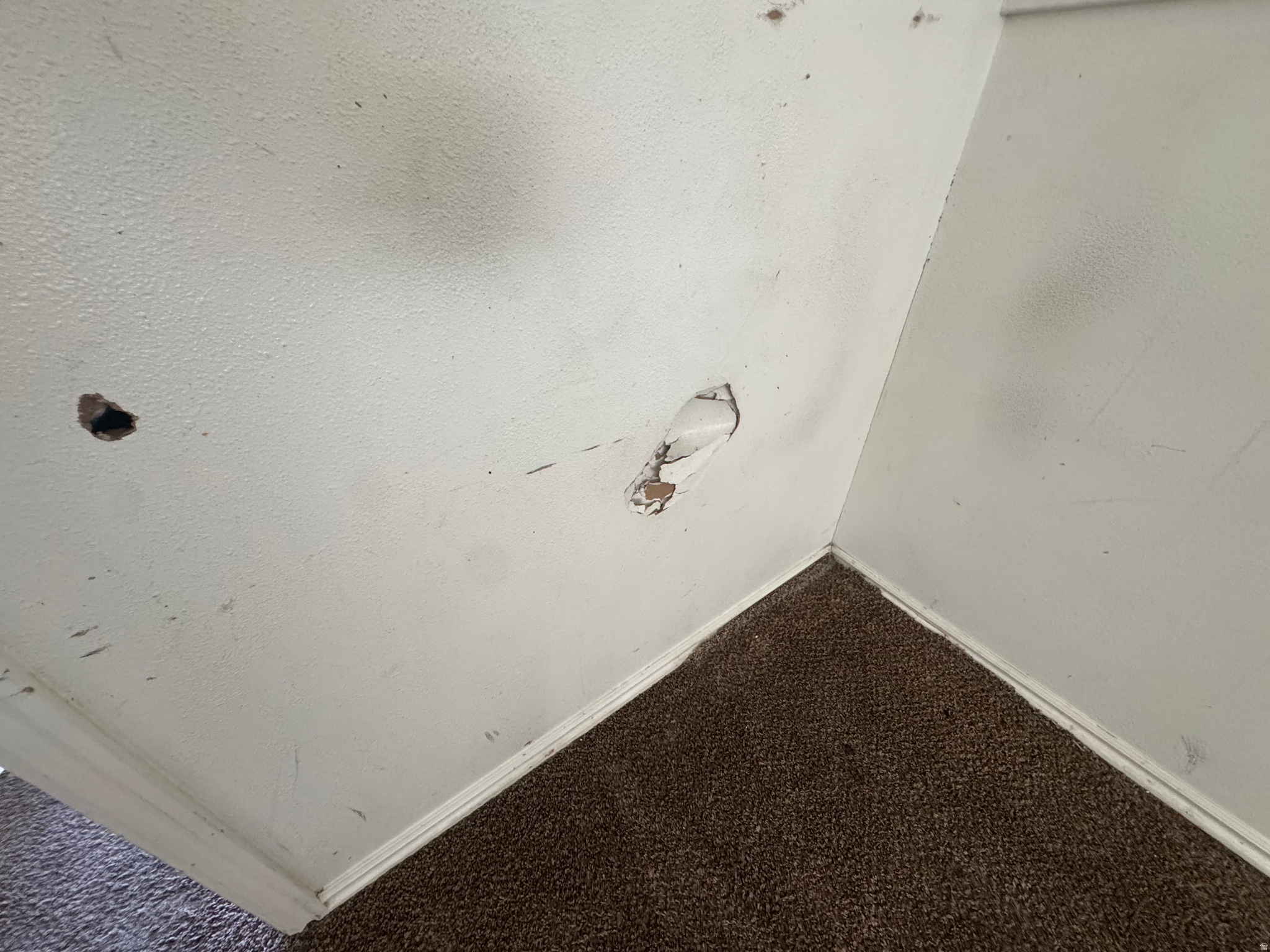 WALNUT HILLS - Residential