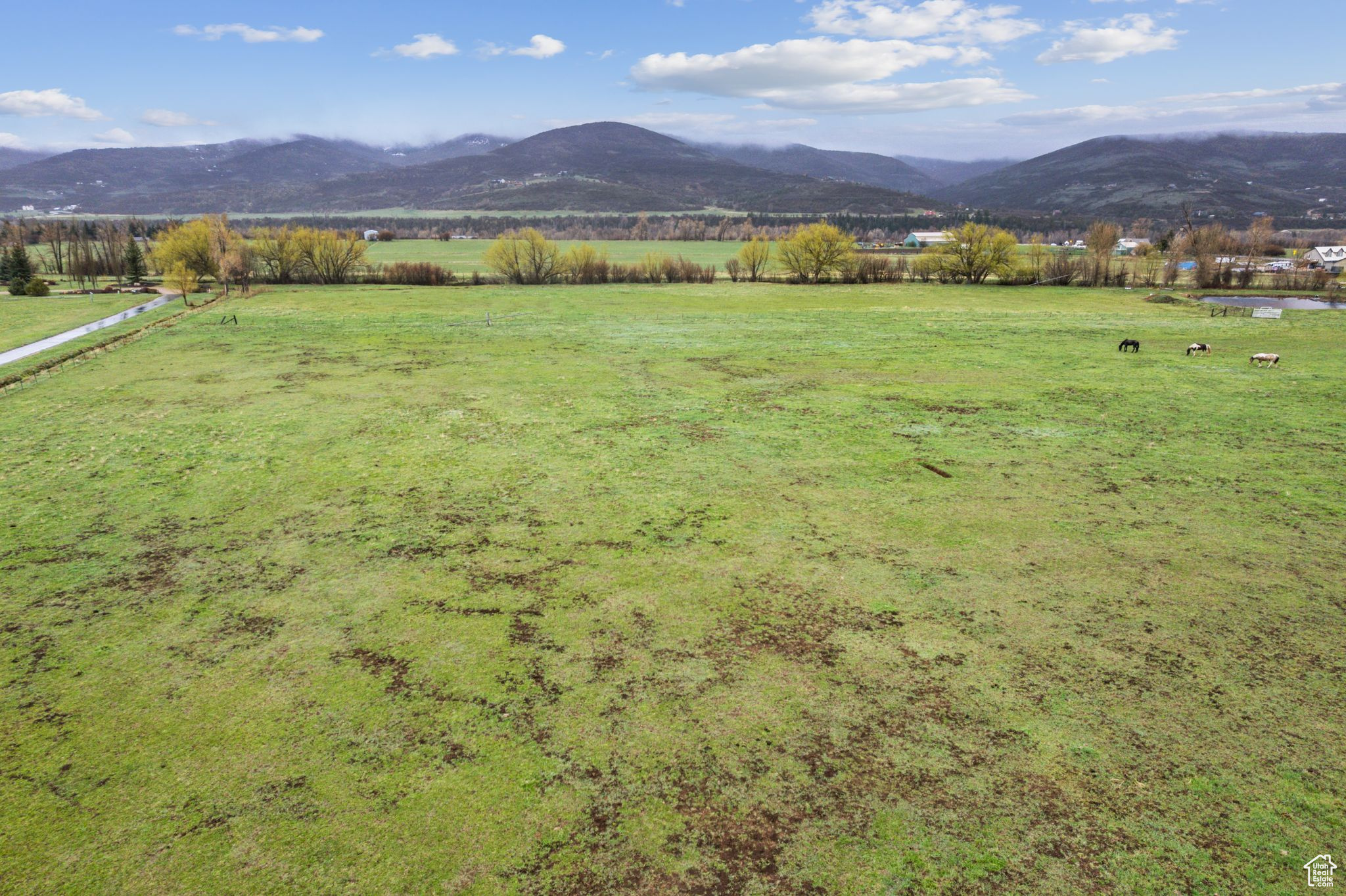 ELK MEADOWS SUBDIVISION AMENDED - Residential