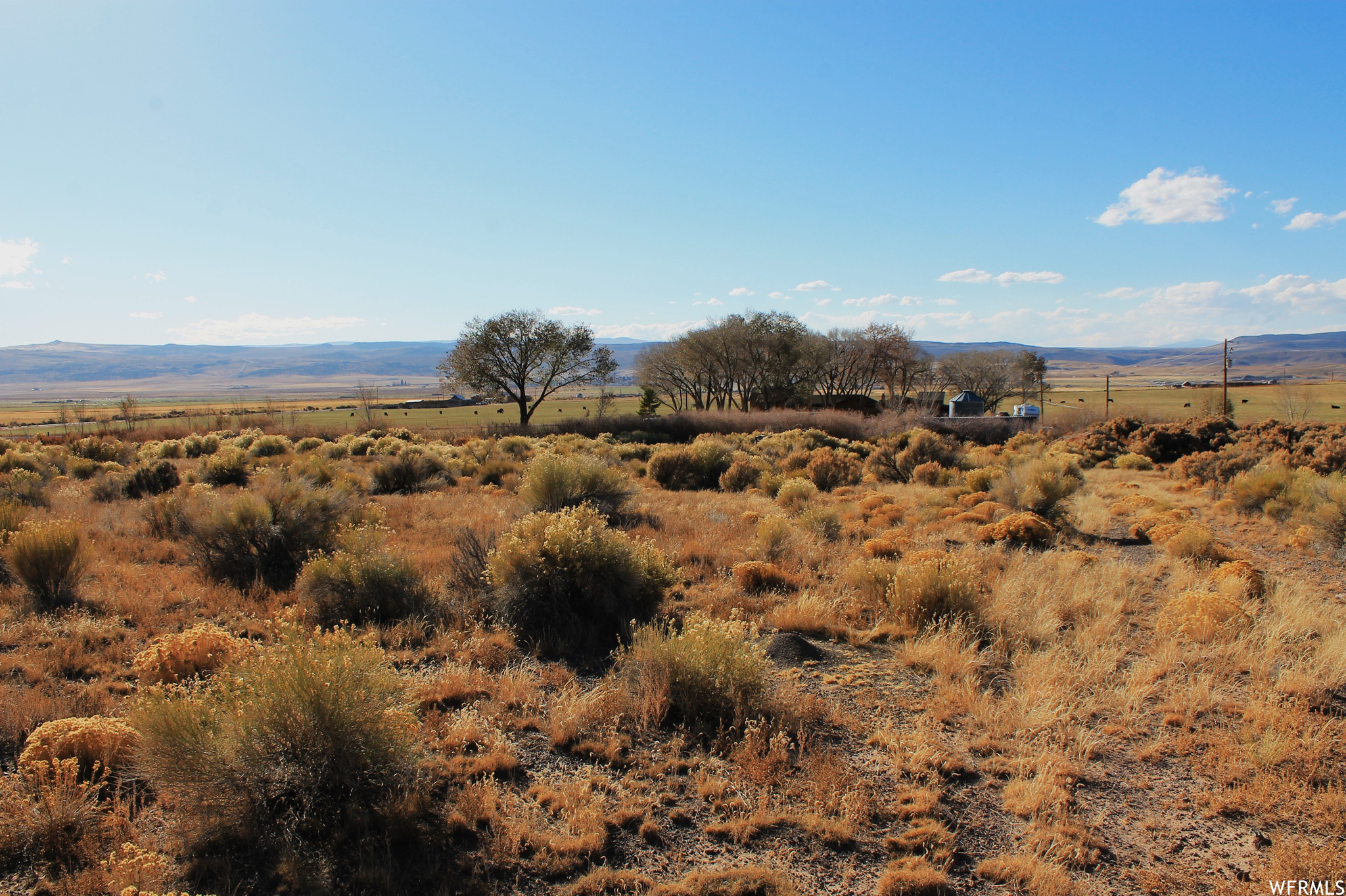 Land, Lyman, Utah image 4