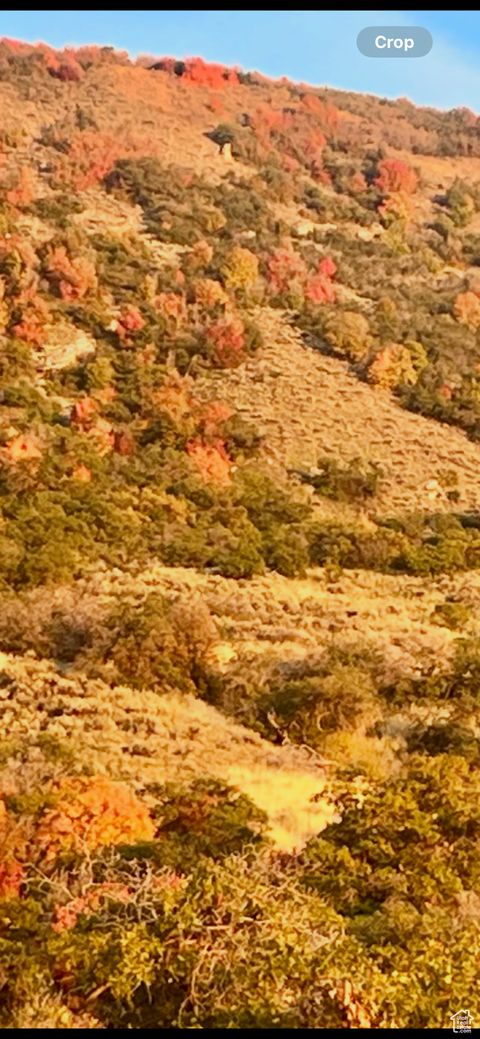 Tiny photo for 109 S ROCK LOFT RIDGE DR #56-R, Fruit Heights, UT 84037 (MLS # 2066896)