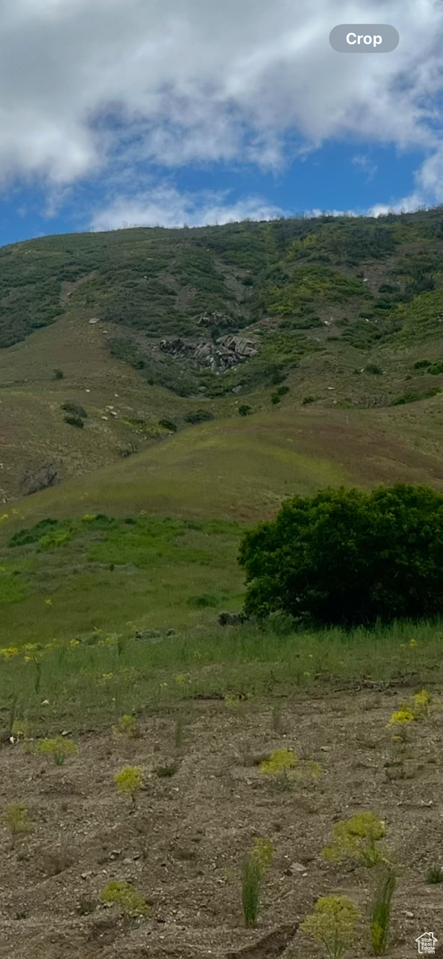 ROCK LOFT RIDGE ESTATES - Land