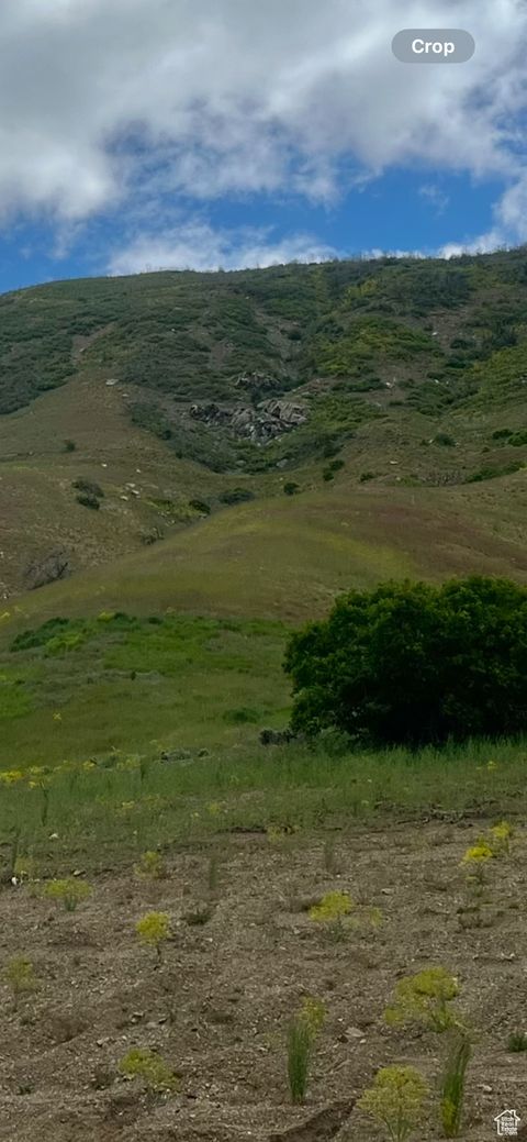 Tiny photo for 109 S ROCK LOFT RIDGE DR #56-R, Fruit Heights, UT 84037 (MLS # 2066896)