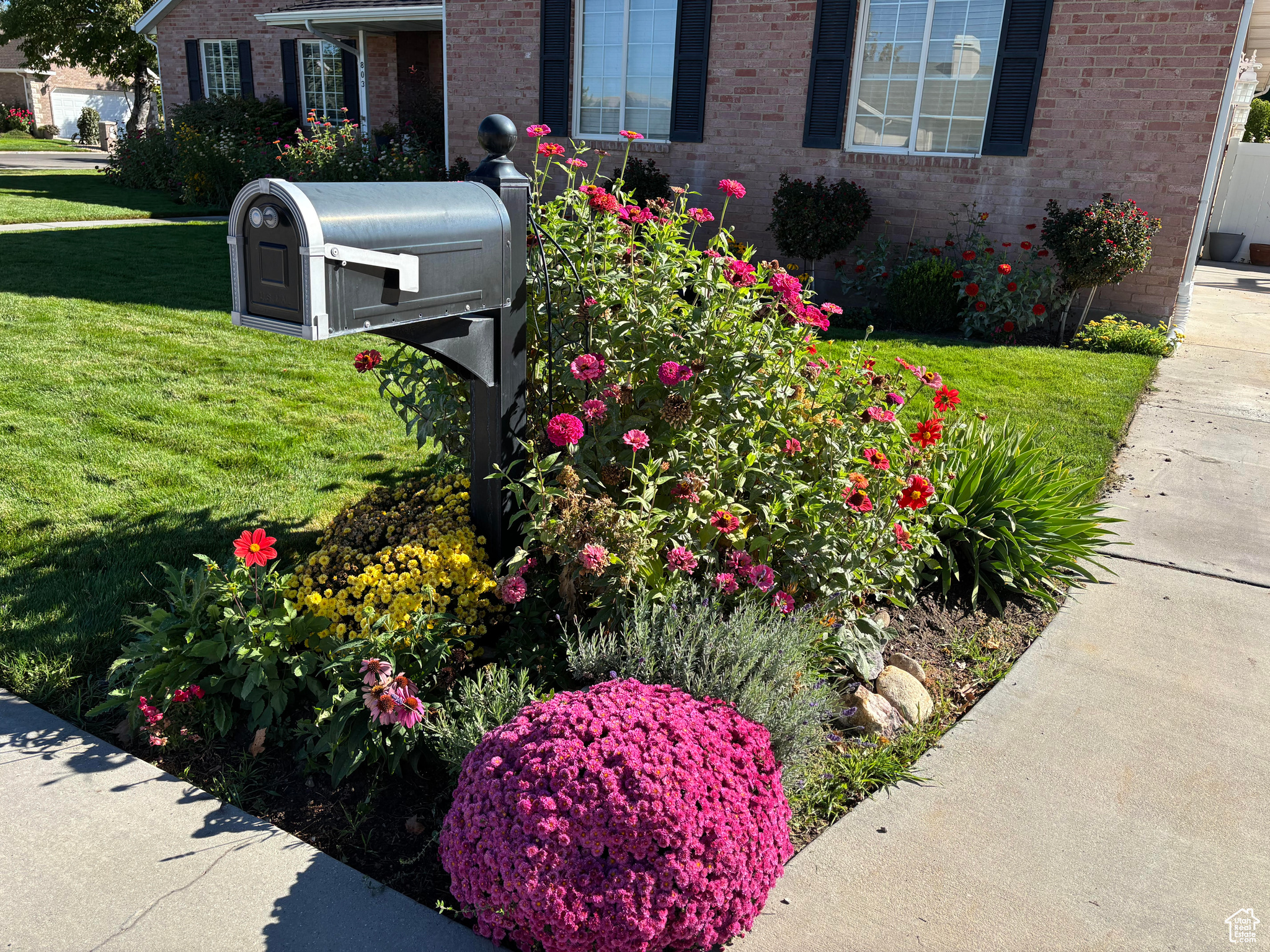 CANYON COVE ESTATES - Residential