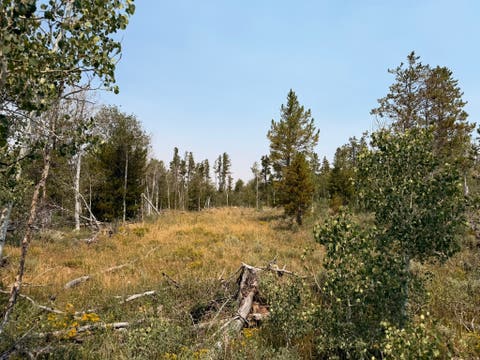 Vacant Land For Sale - 4913 Pinecrest Rd<br/> Kamas, UT 84036