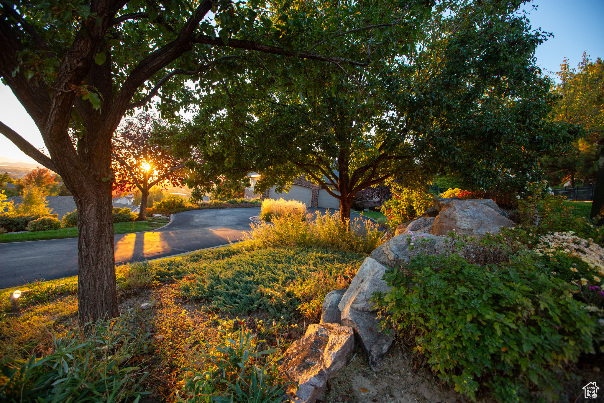 FOREST HEIGHTS - Residential