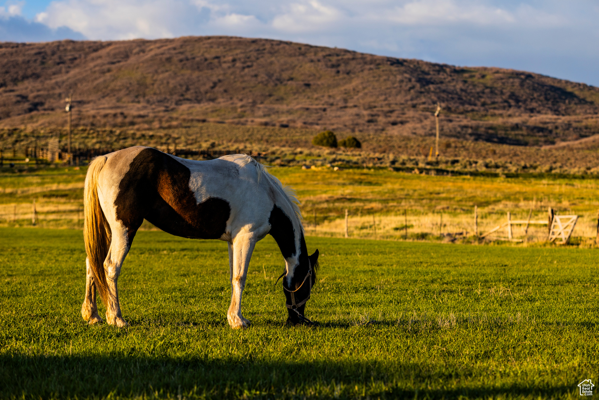 NORTH BENCH FARMS - Land
