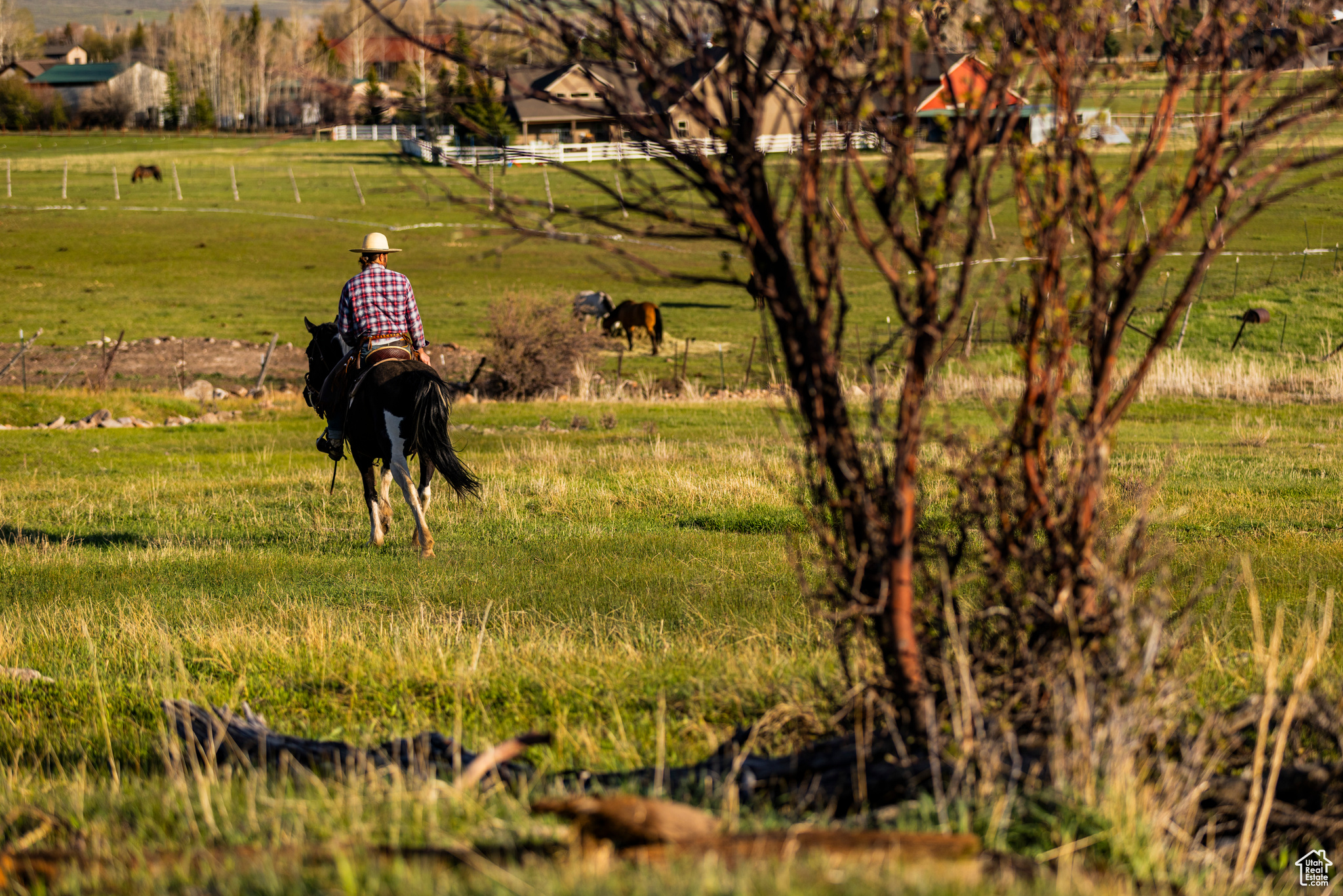 NORTH BENCH FARMS - Land
