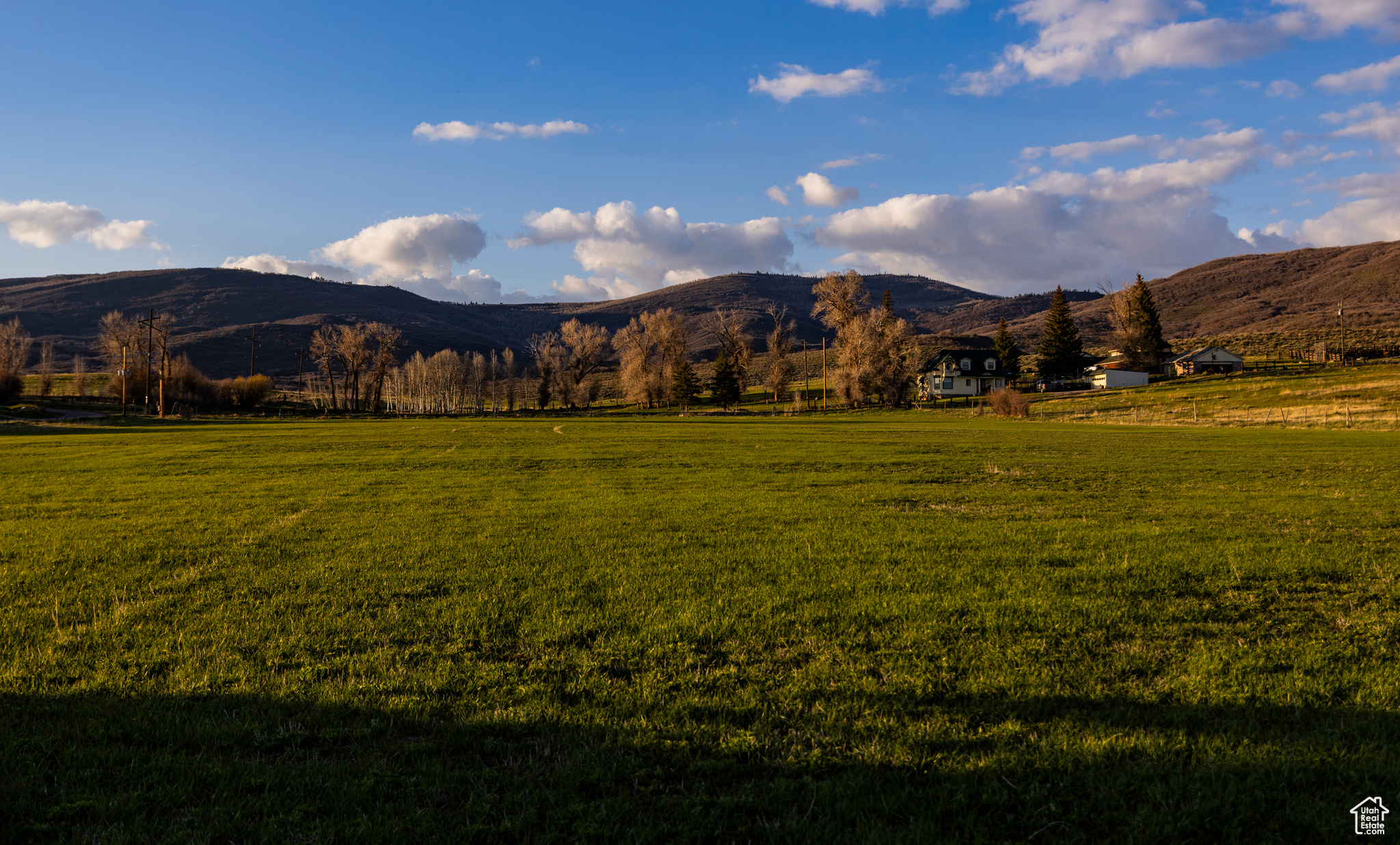 NORTH BENCH FARMS - Land
