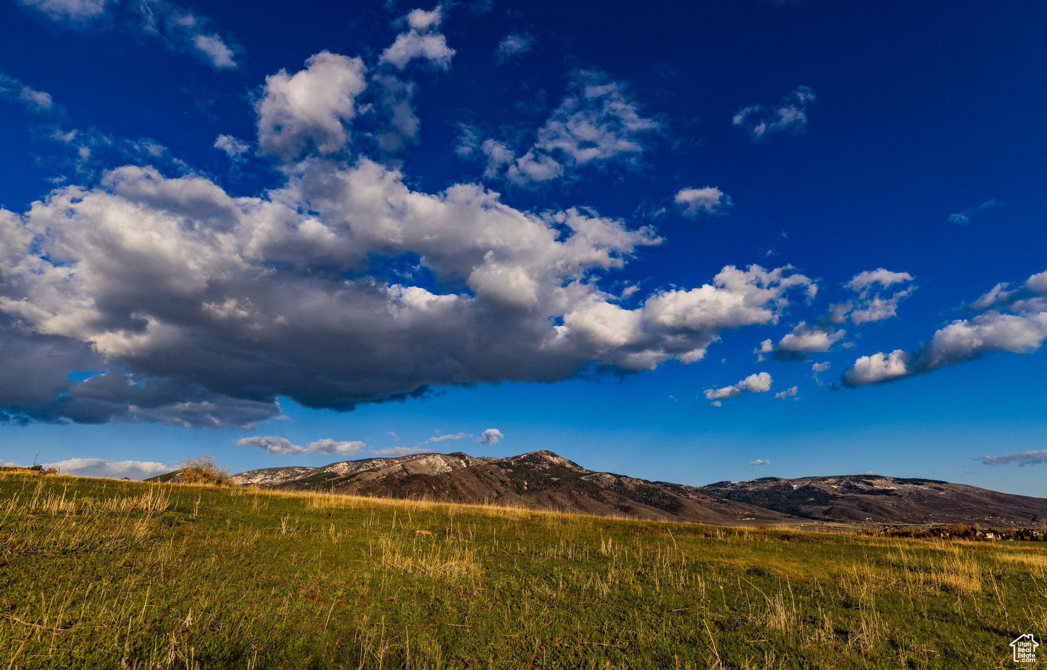 NORTH BENCH FARMS - Land