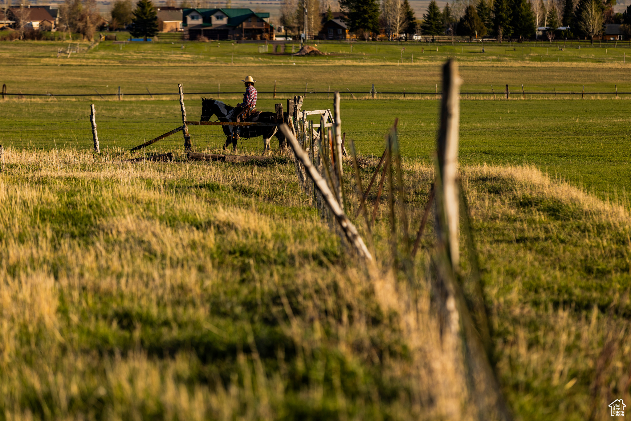 NORTH BENCH FARMS - Land